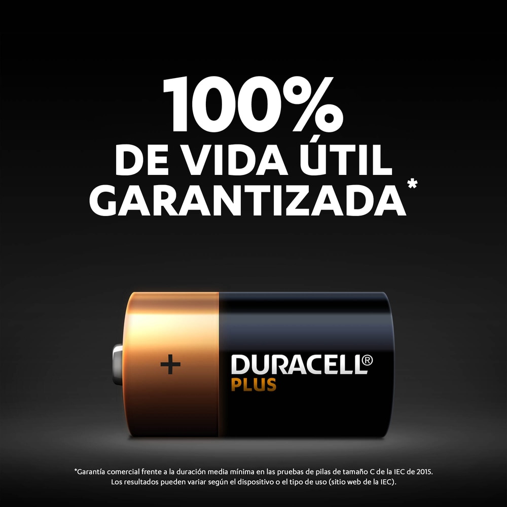 Pilas Duracell LR14 (C) ML PLUS 2