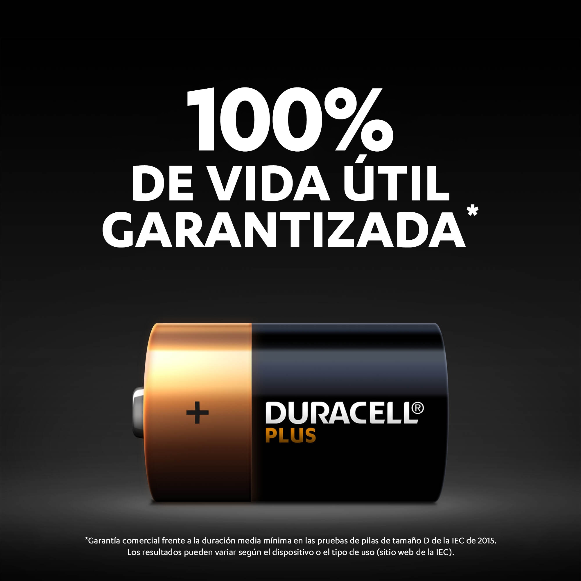 Pilas Duracell LR20 (D) ML PLUS 2