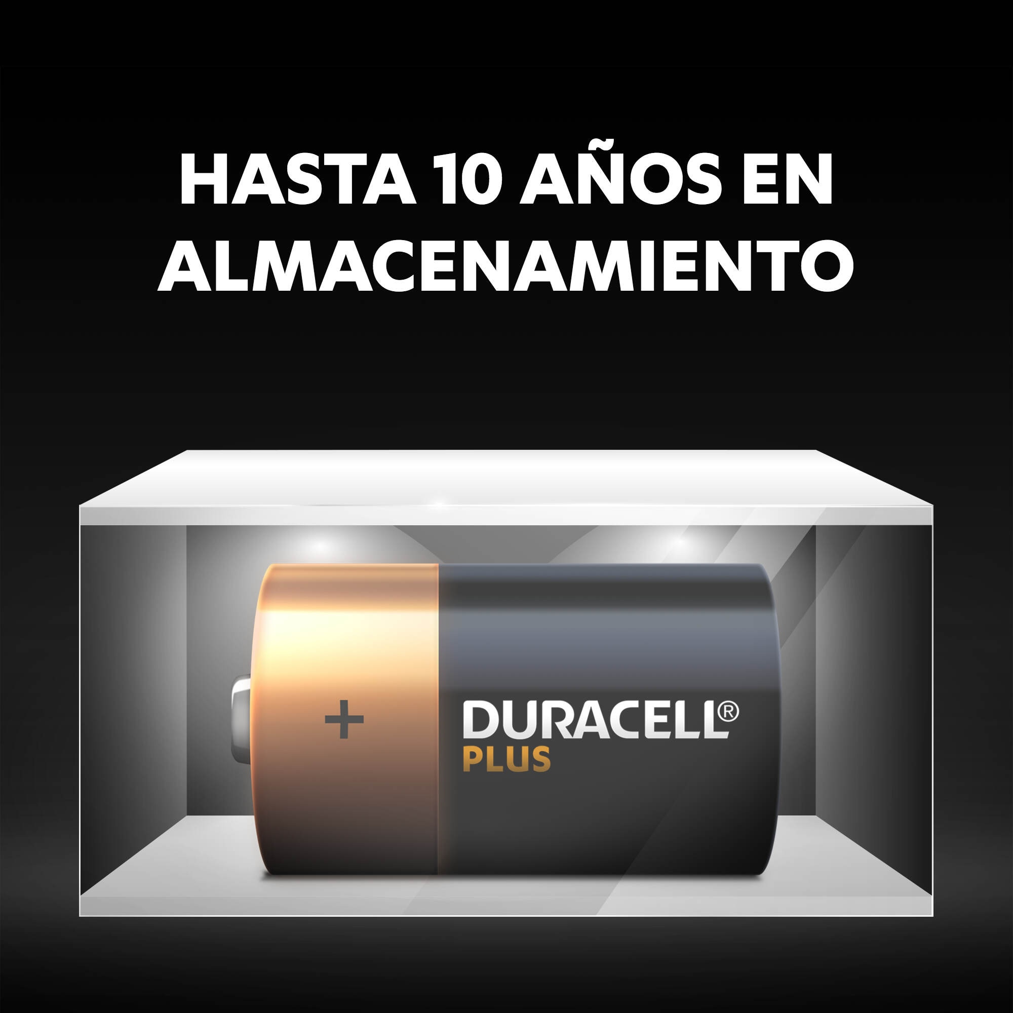 Pilas Duracell LR20 (D) ML PLUS 3