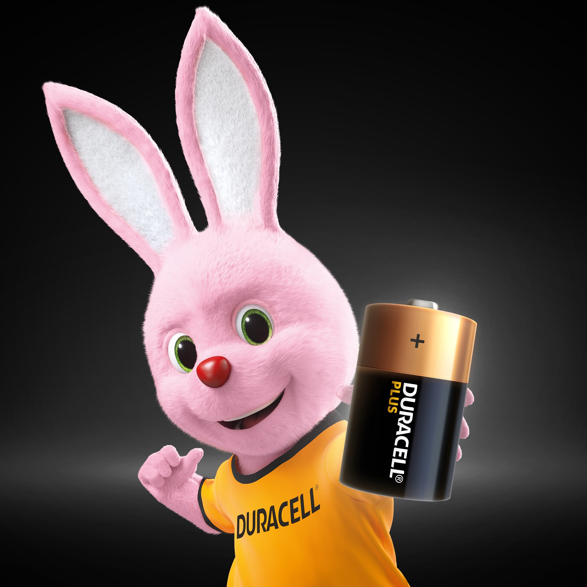 Pilas Duracell LR20 (D) ML PLUS 6