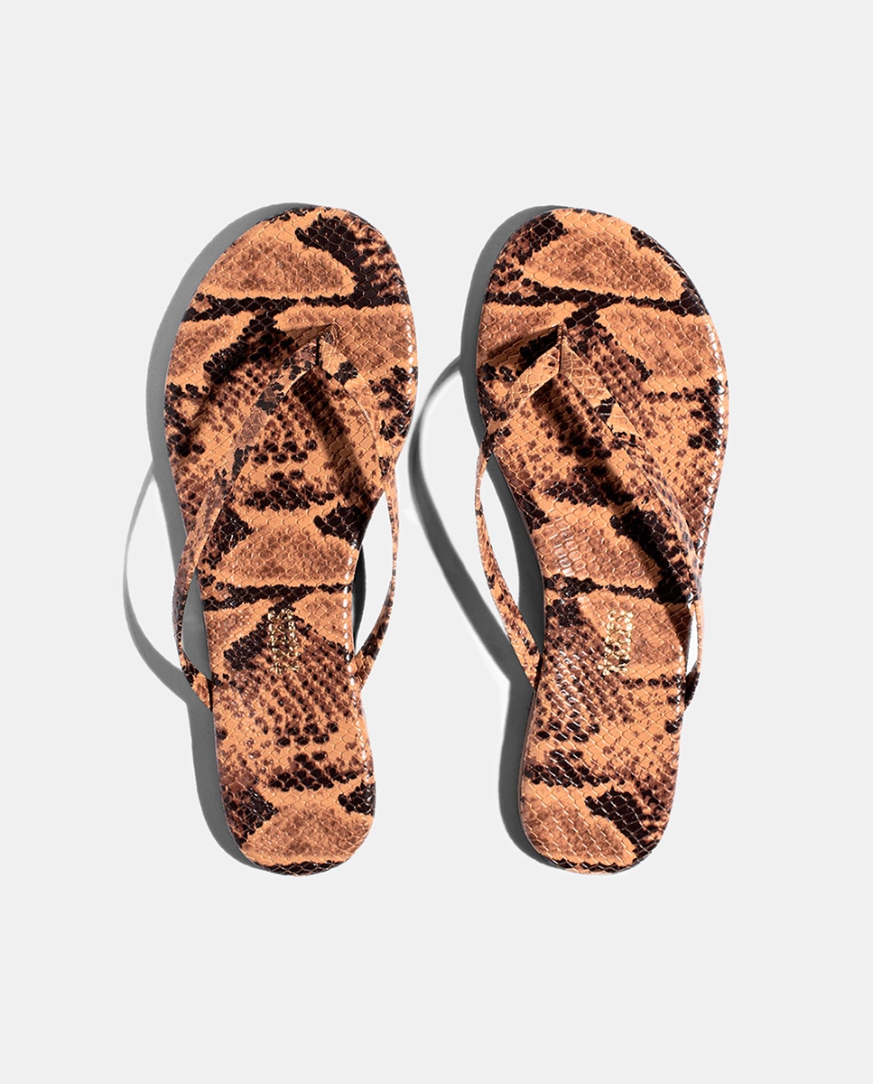 Sandálias Rasas em Pele com Animal Print de Serpente Multicolor-3