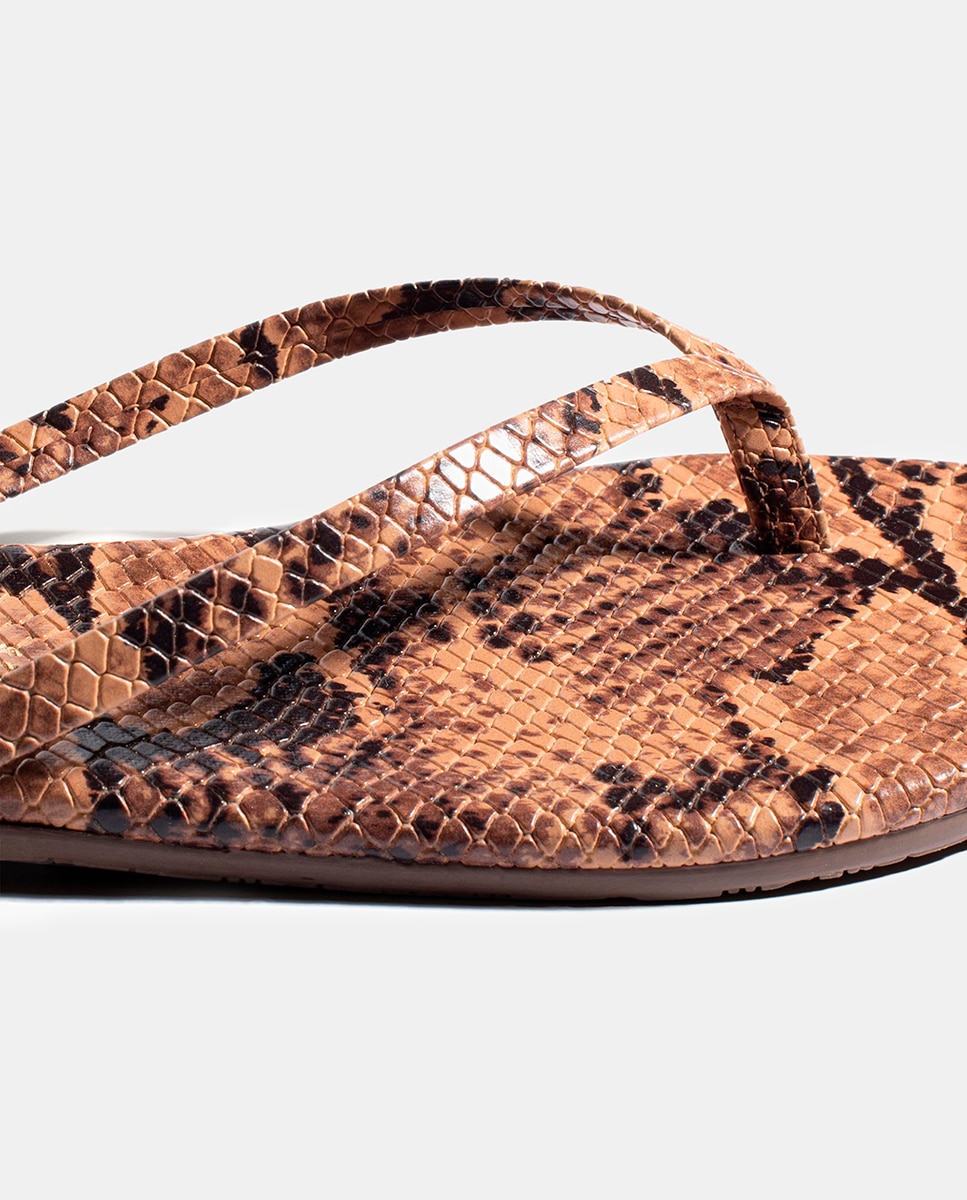 Sandálias Rasas em Pele com Animal Print de Serpente Multicolor-4