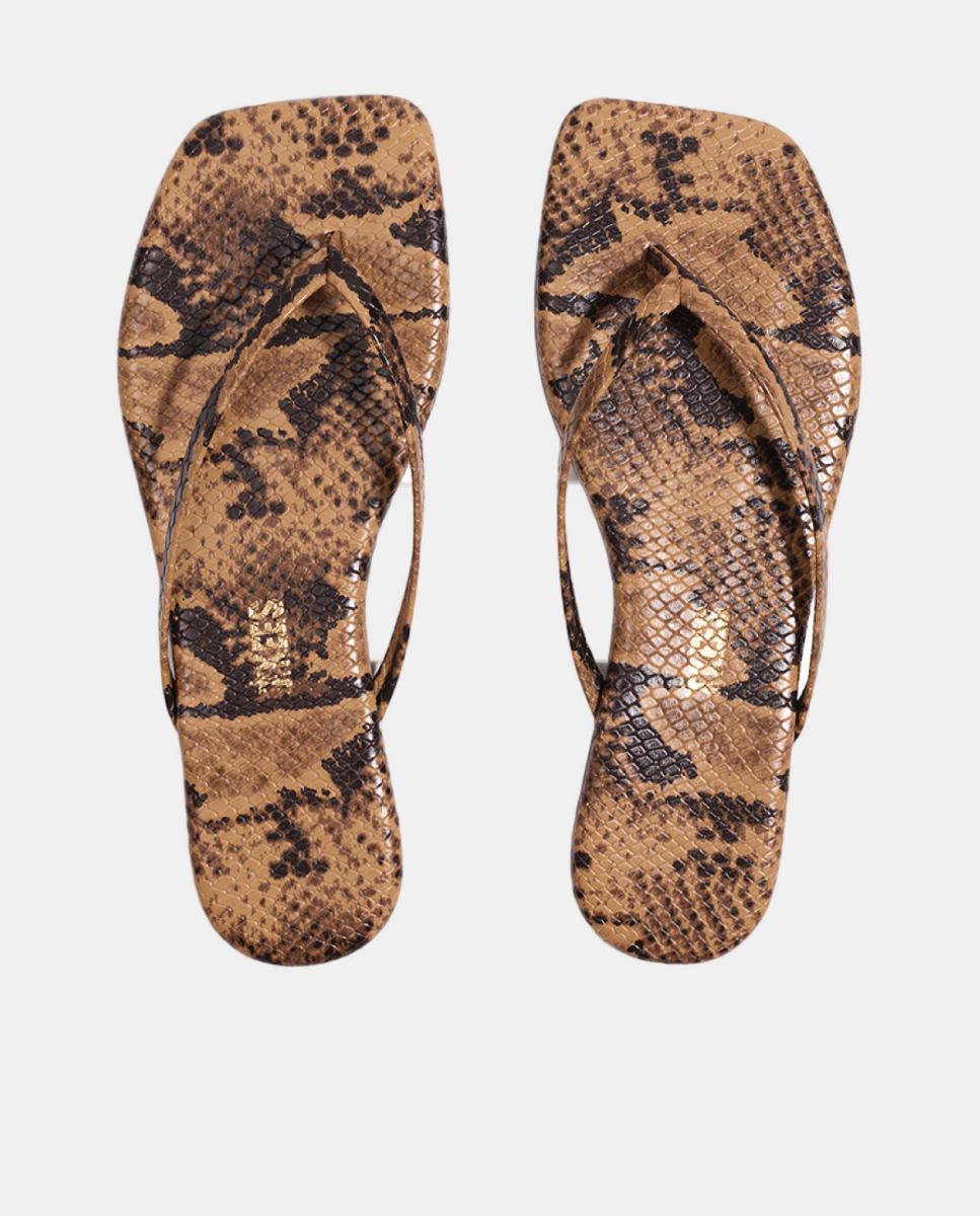 Sandálias em Pele com Animal Print de Serpente e Biqueira Quadrada Multicolor-2