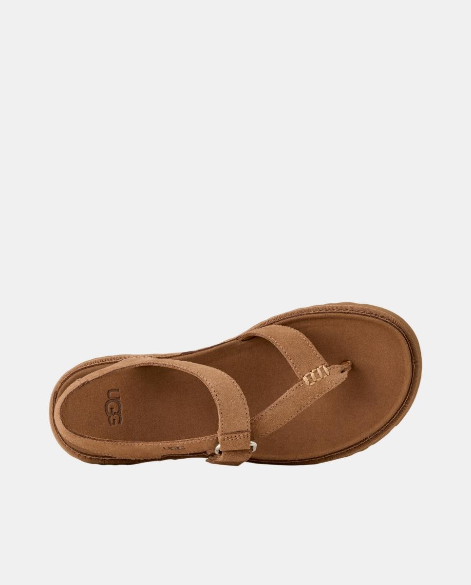 Sandália Rasa Escrava Goldengaze Toe Post Couro-6