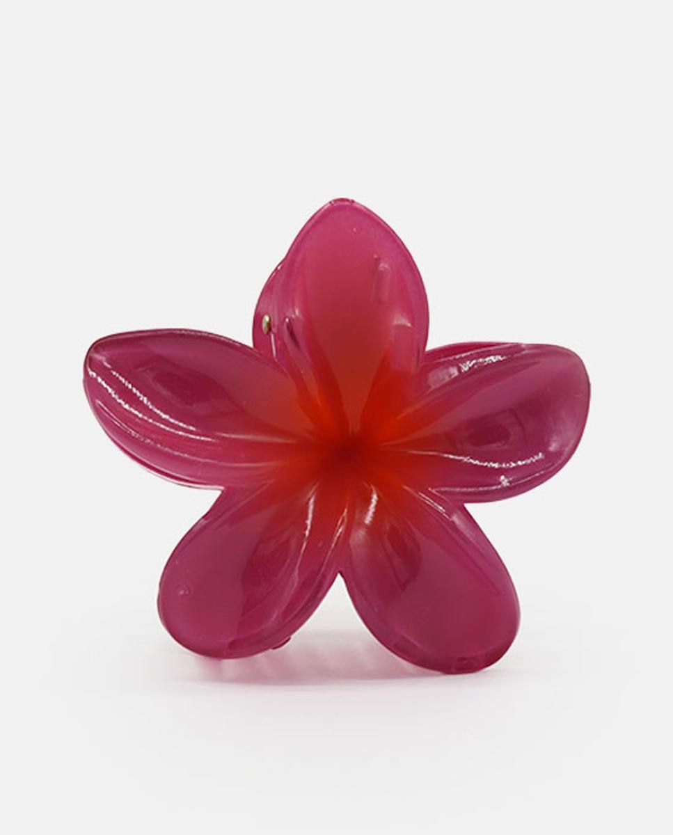 Imagem 0 de Mola Flor Havaiana - Buganvília