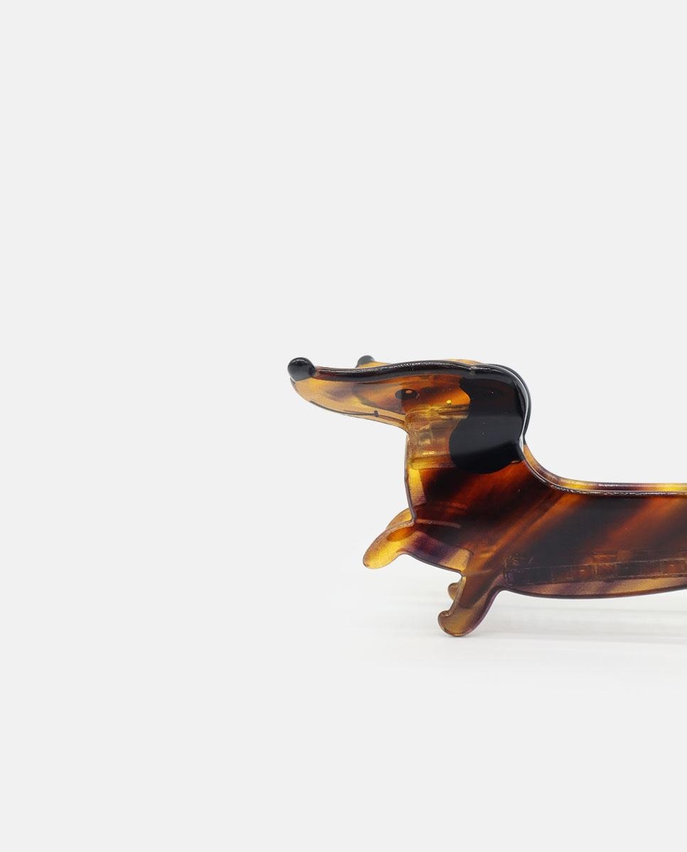 Mola com Cão Teckel Castanho-4