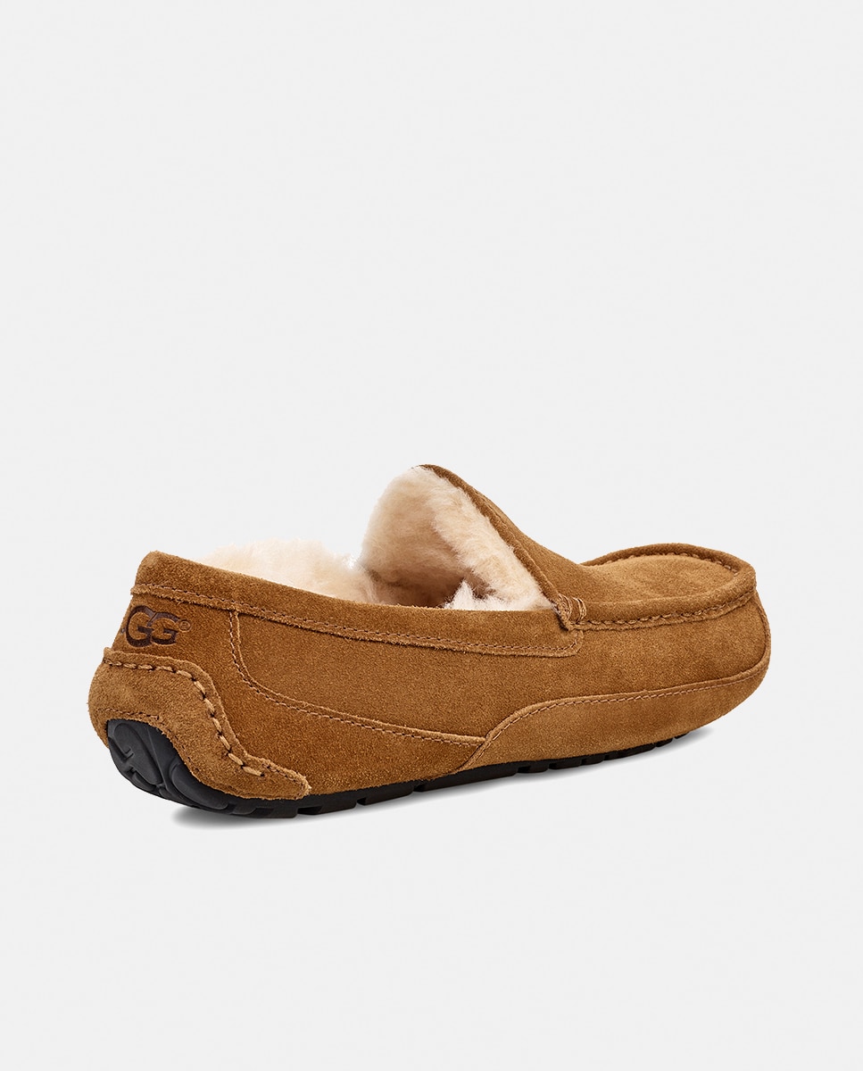 Mocassins de homem UGG castanhos Castanho-4