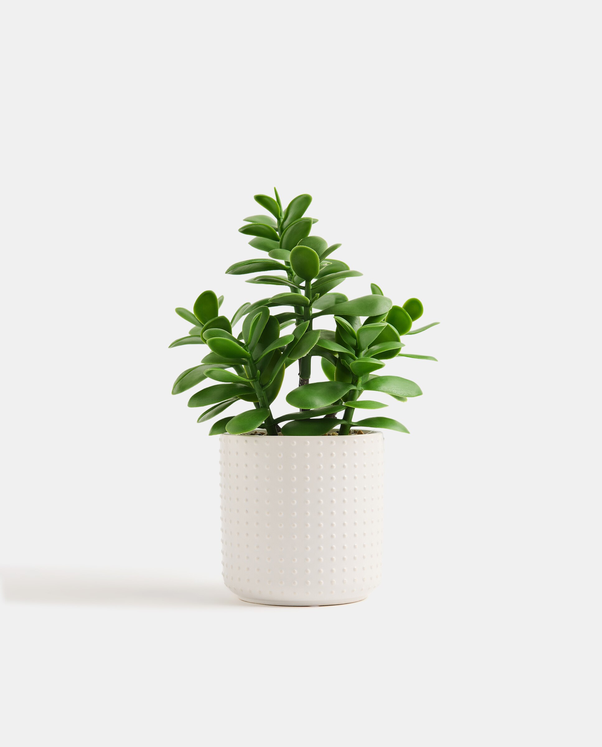 Imagen 0 de Planta artificial con maceta de cerámica relieve blanco