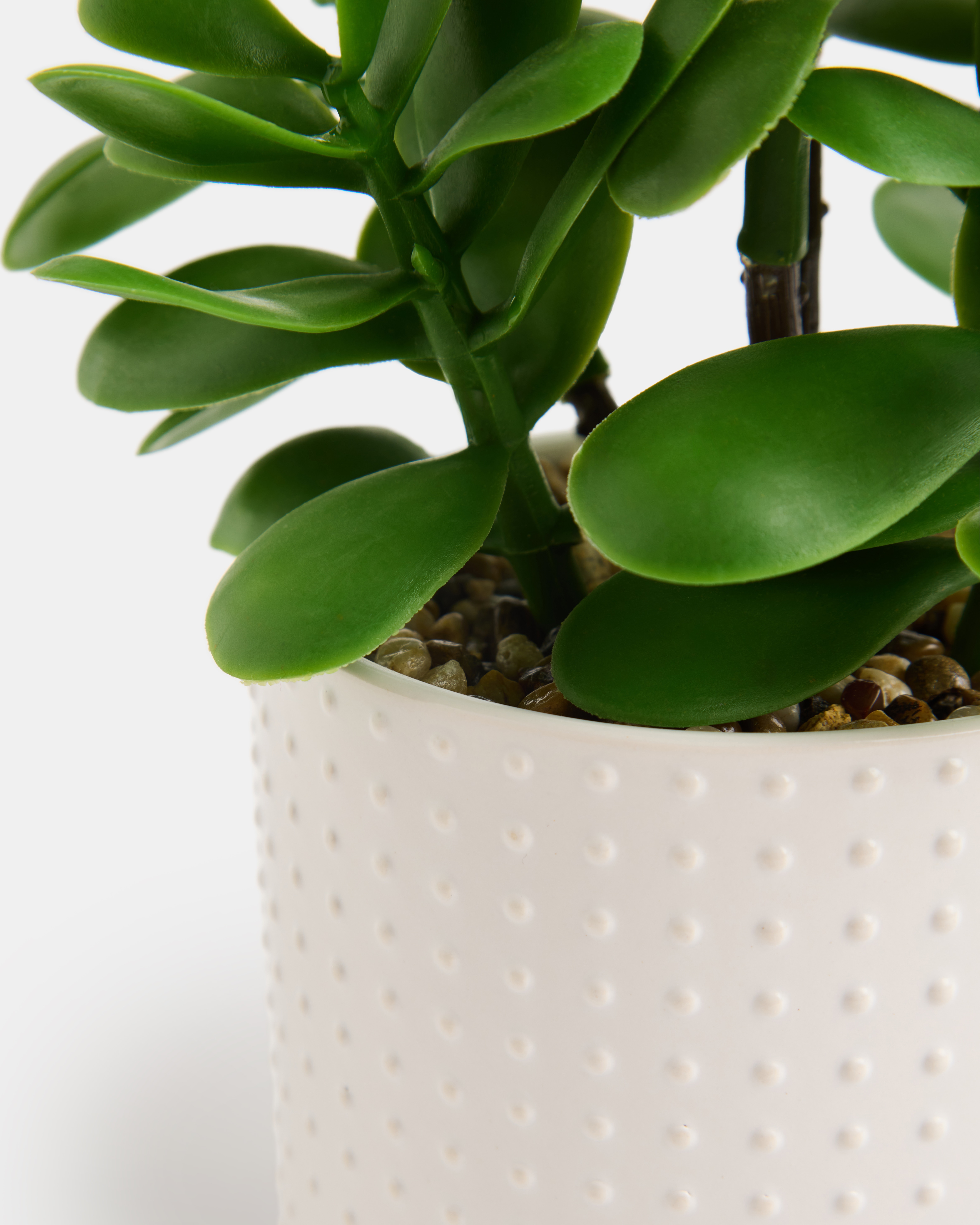 Planta artificial con maceta de cerámica relieve blanco Blanco-2