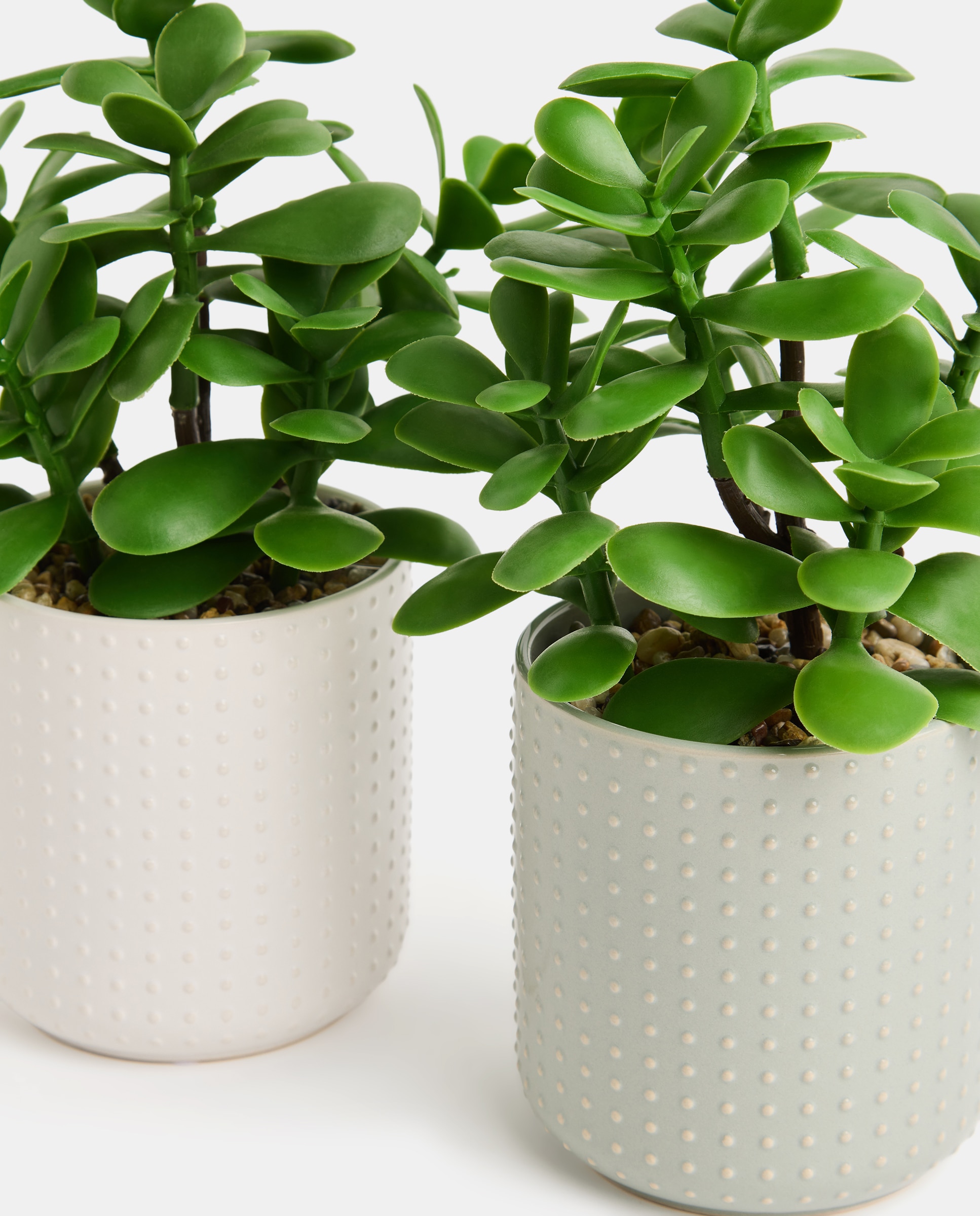 Planta artificial con maceta de cerámica relieve blanco Blanco-4