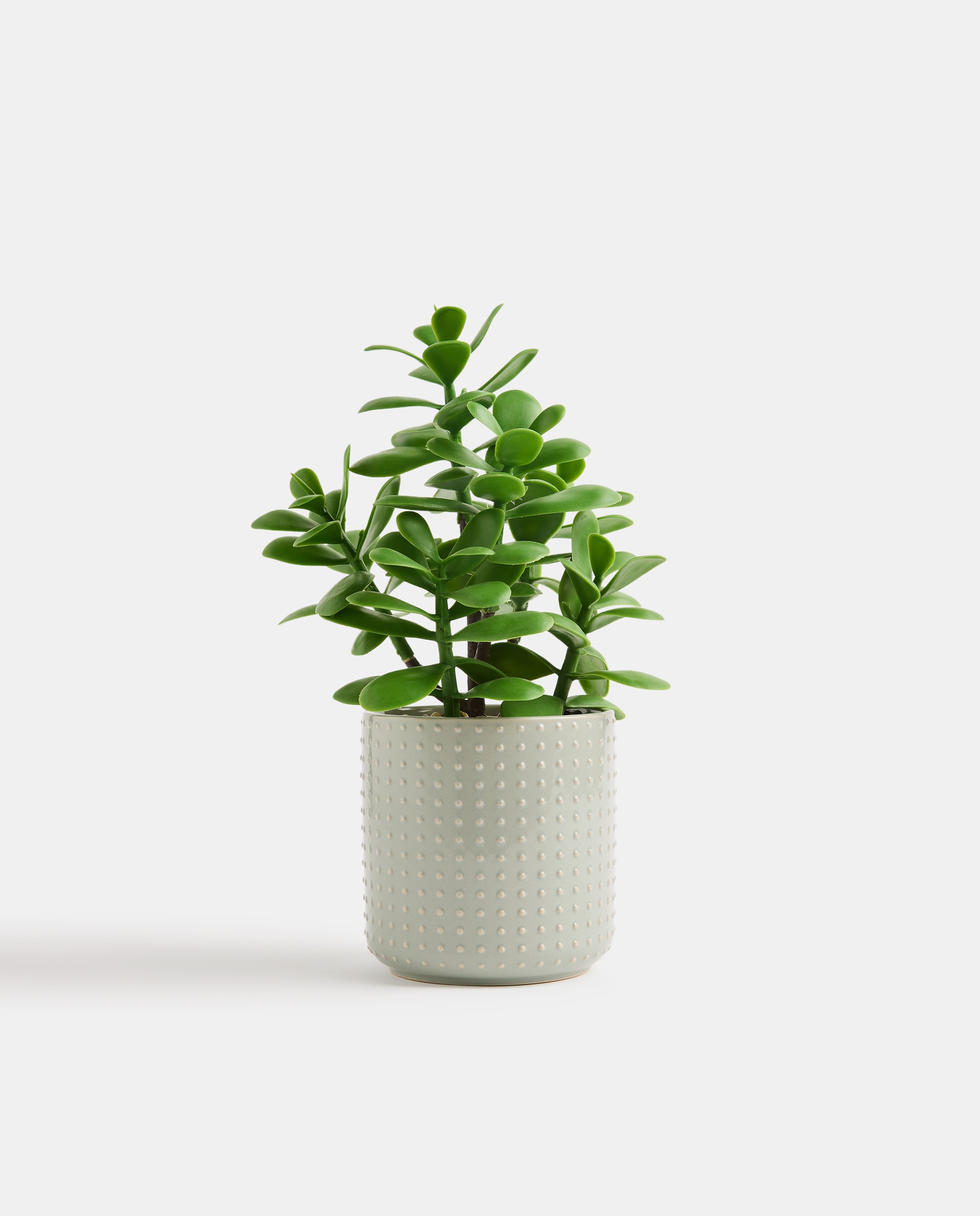 Imagen 0 de Planta artificial con maceta de cerámica relieve verde