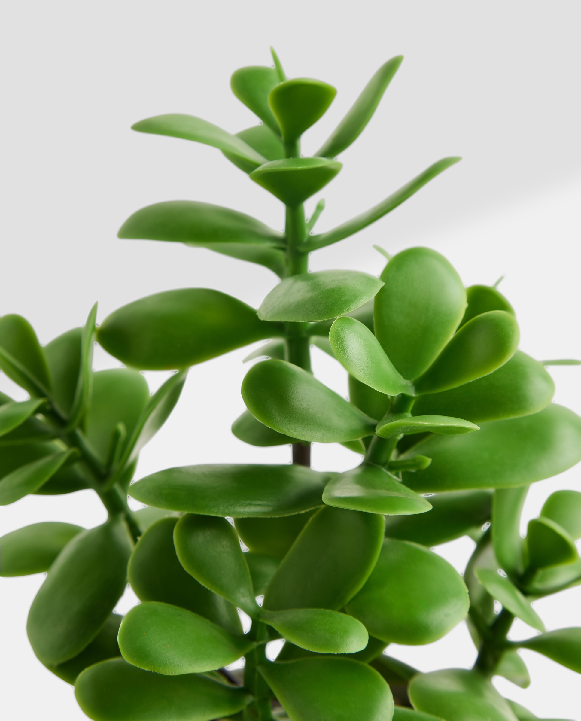 Planta artificial con maceta de cerámica relieve verde Verde-2