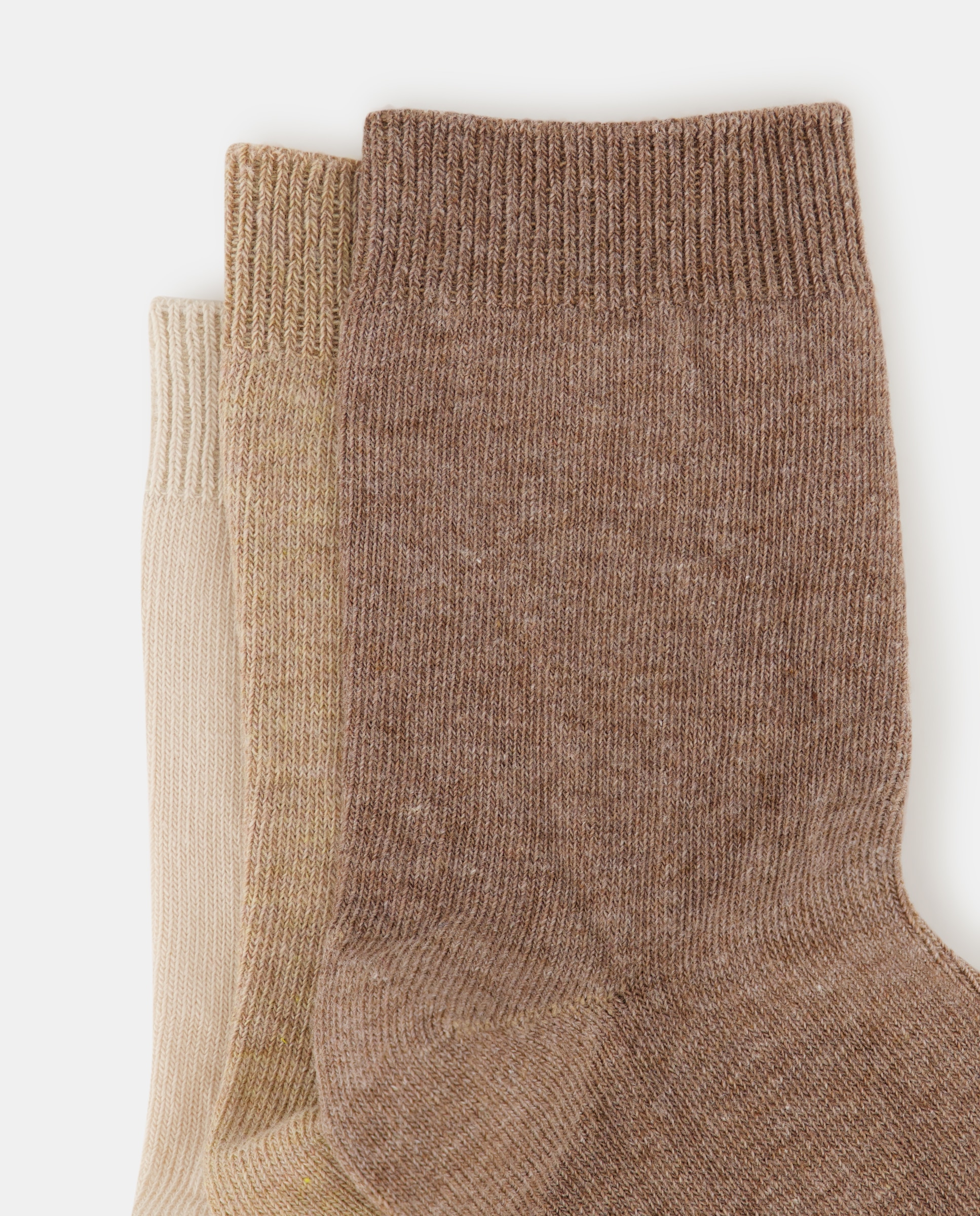 Pack de tres calcetines lisos de niña - Cotton Juice - Marrón Marrón-2