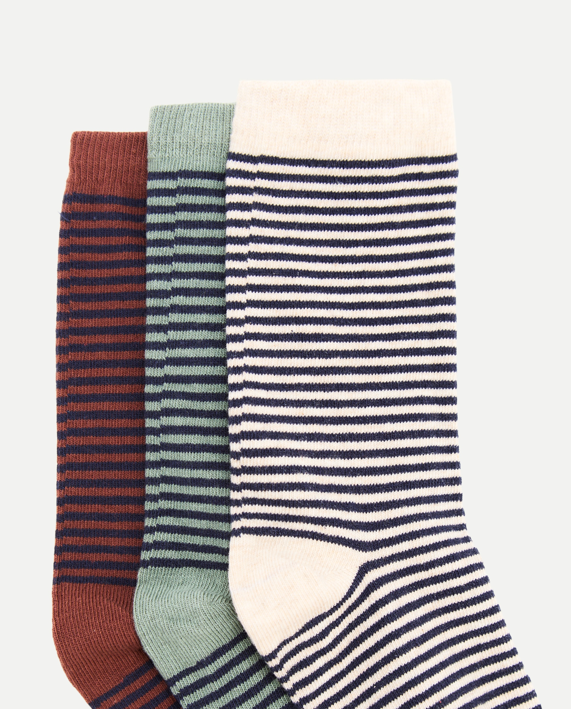 Pack de 3 calcetines cortos rayas de niño - Cotton Juice - Multicolor Multicolor-2