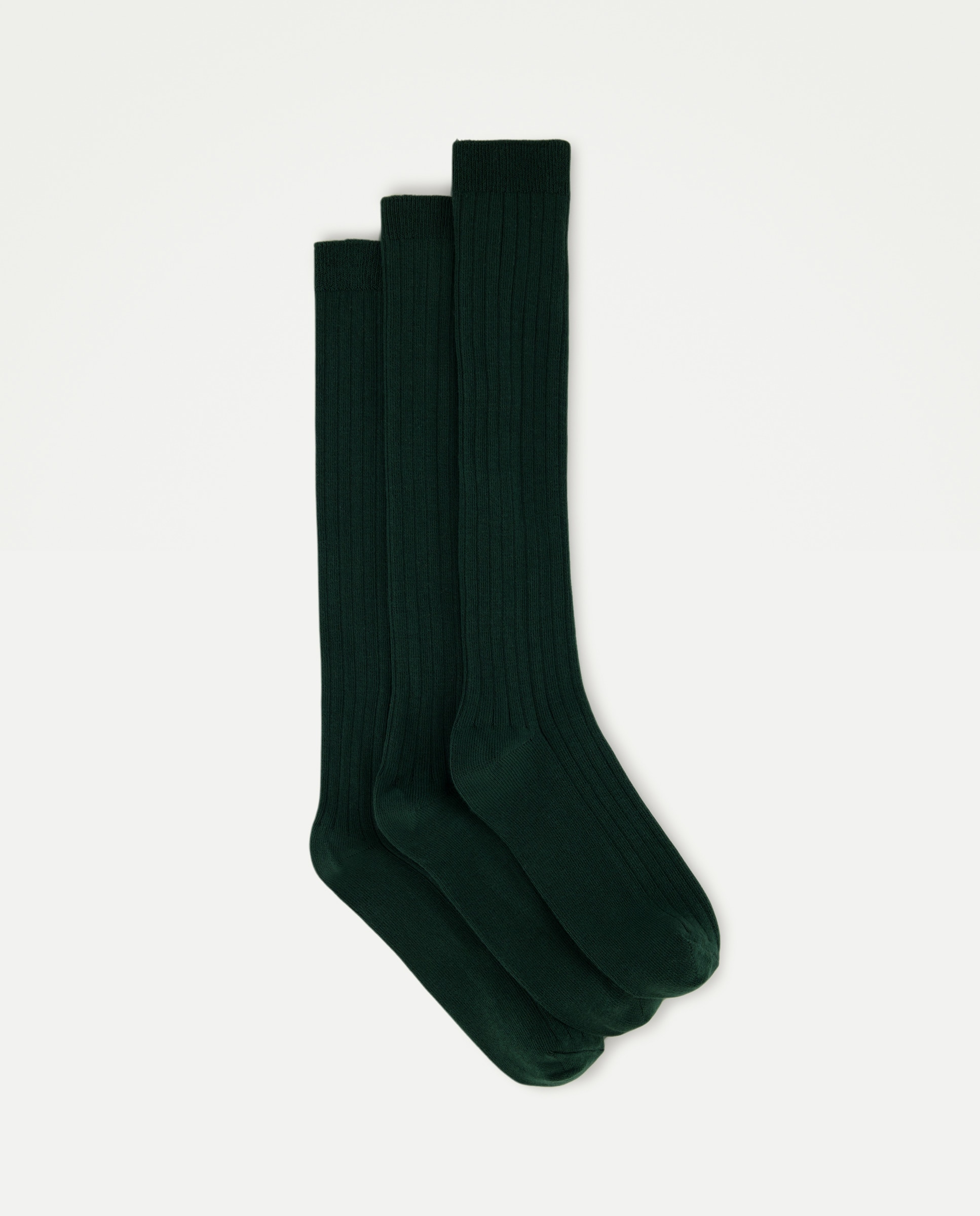 Pack 3 calcetines altos canalé de niño - Cotton Juice - Verde Verde-1