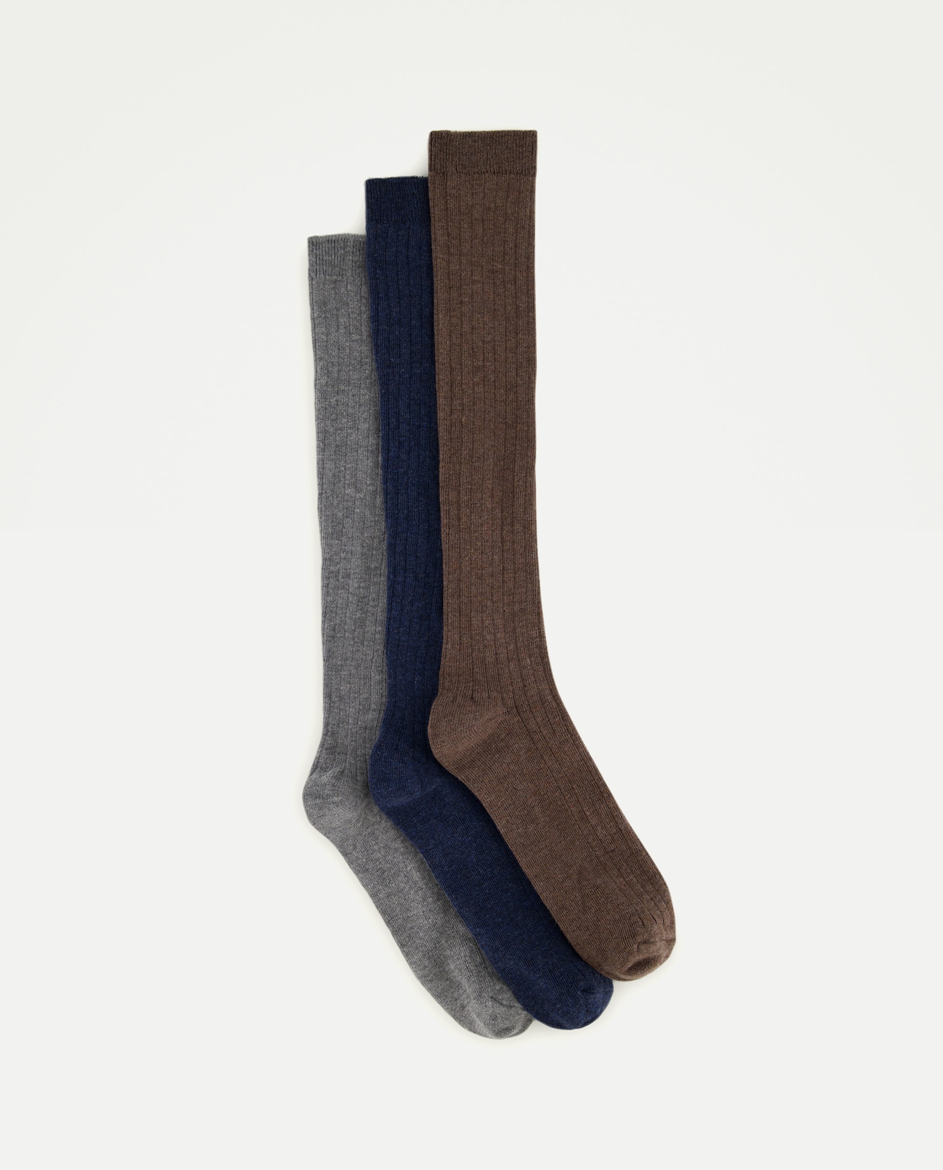 Pack 3 calcetines altos canalé de niño - Cotton Juice - Multicolor Multicolor-1