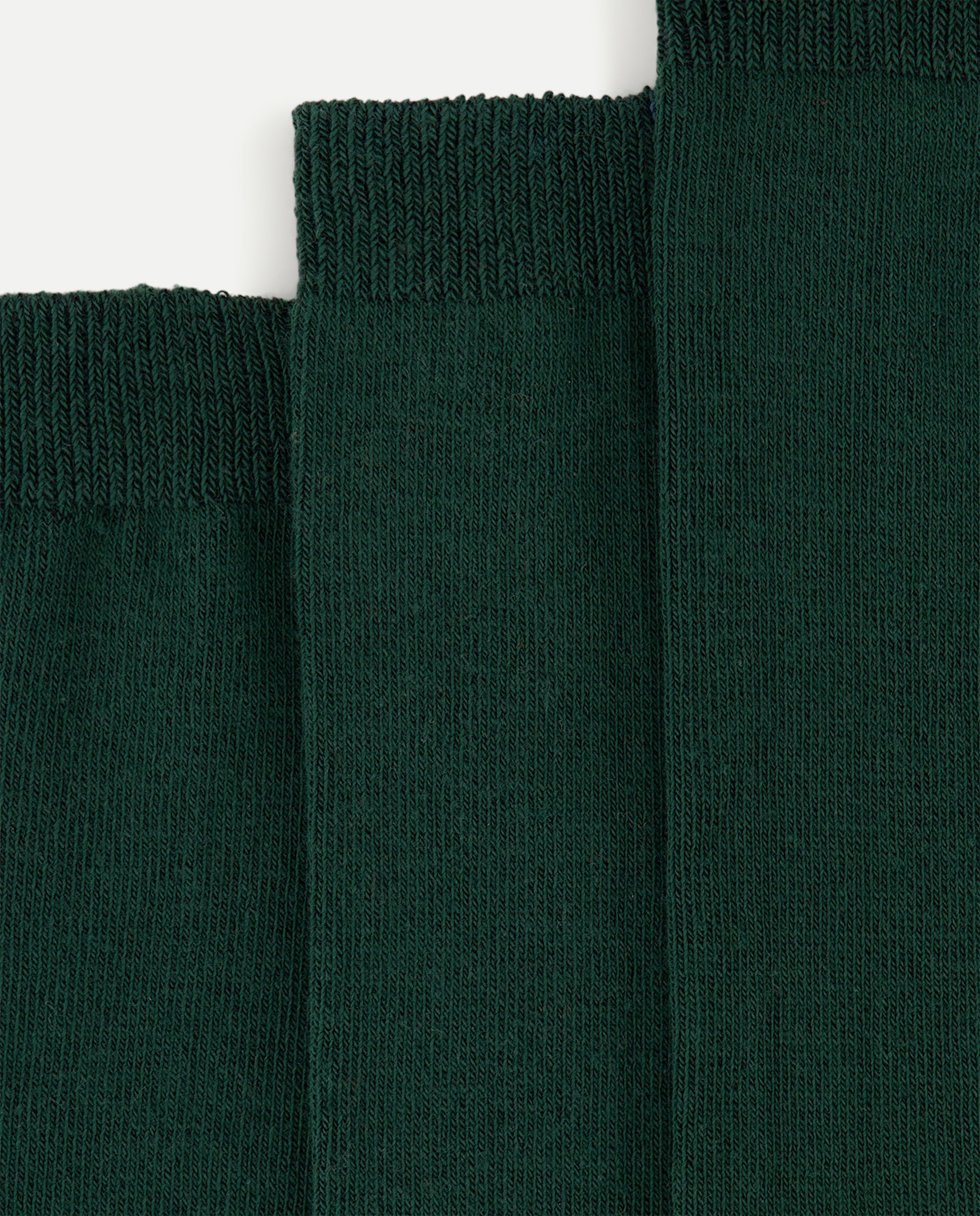 Pack 3 calcetines altos lisos de niño - Cotton Juice - Verde Verde-2