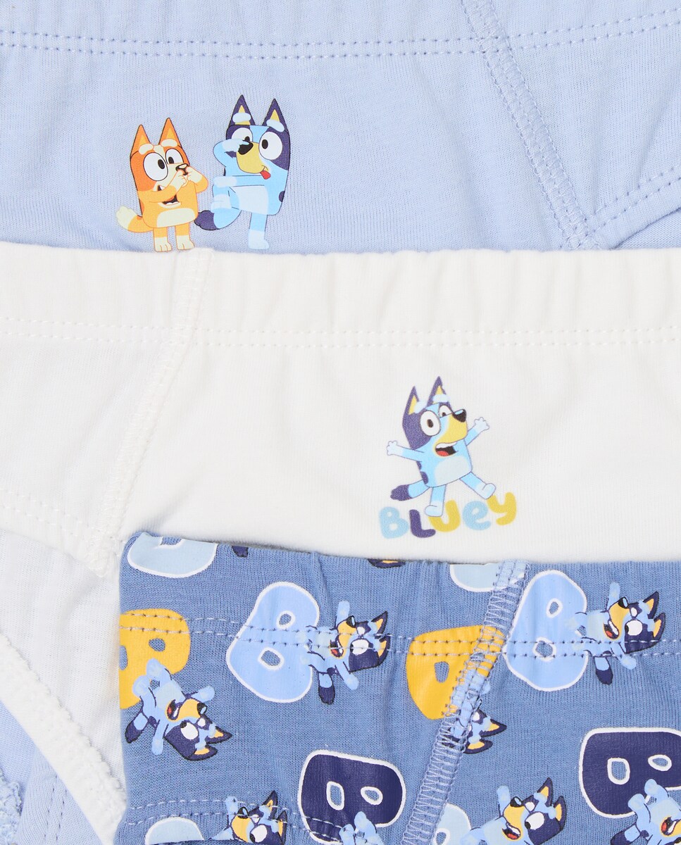 Pack de Três Boxers Bluey Multicolor-3