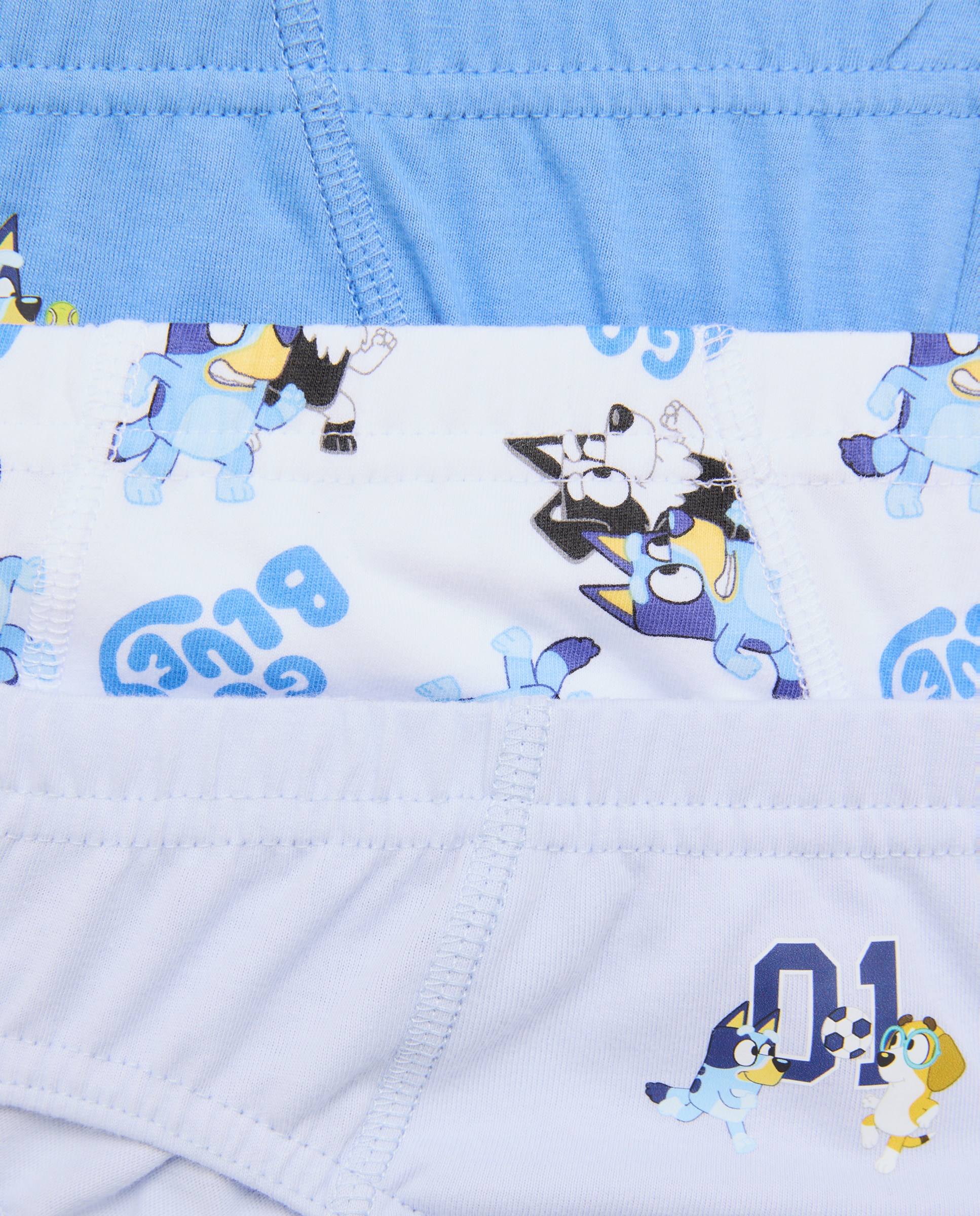 Pack de 5 Slips Bluey Multicolor-3