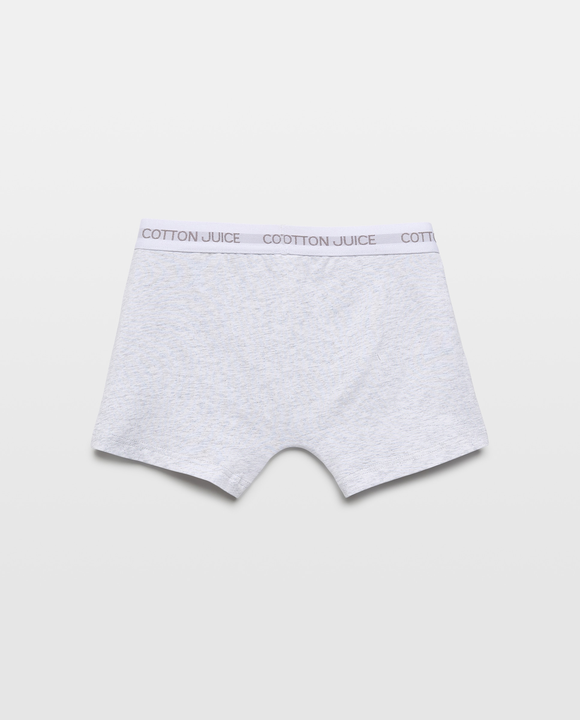 Pack de Dois Boxers Lisos Cotton Juice Cinzento-claro-2