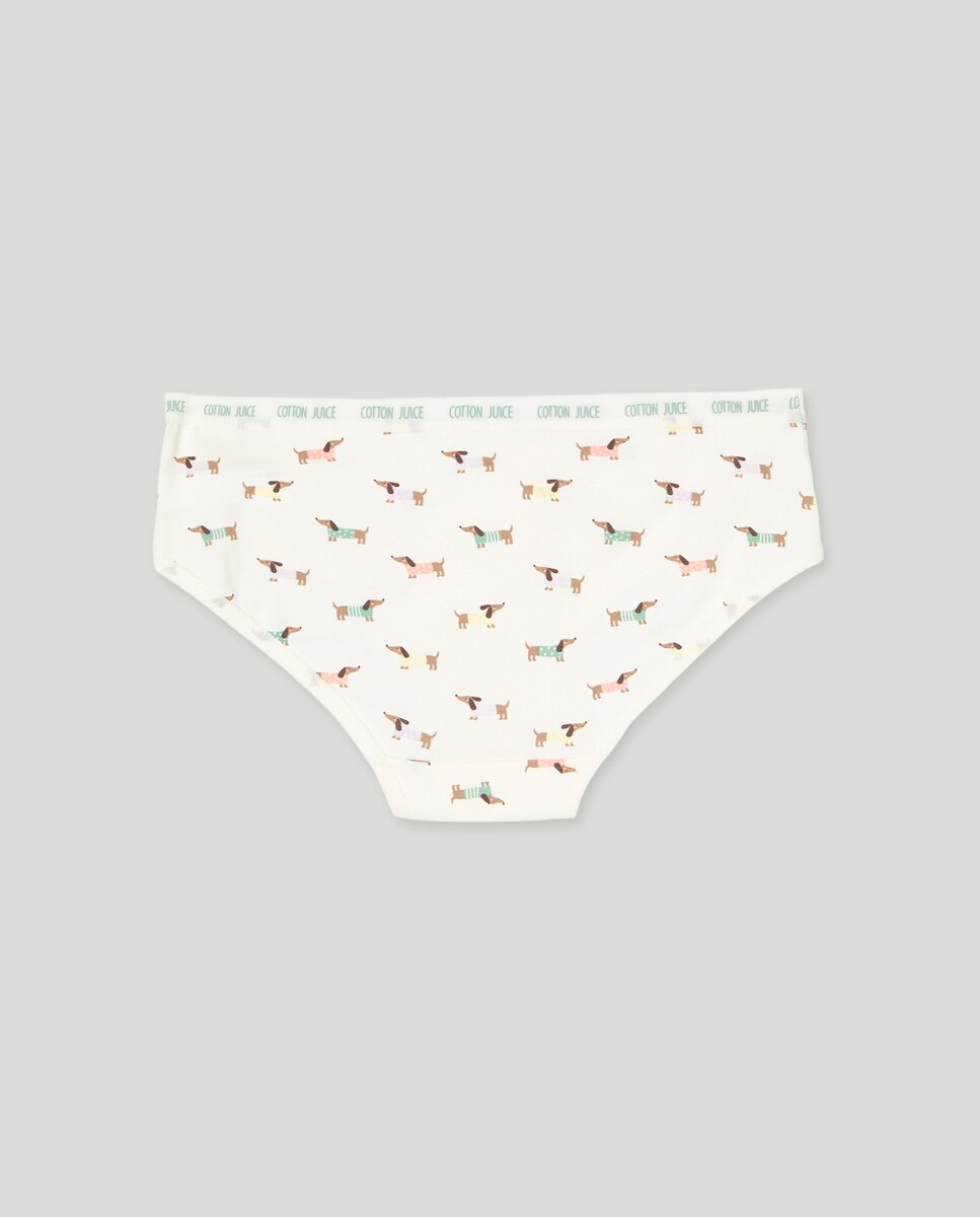 Pack de 3 Cuecas pela Anca com Estampado de Fantasia Multicolor-2