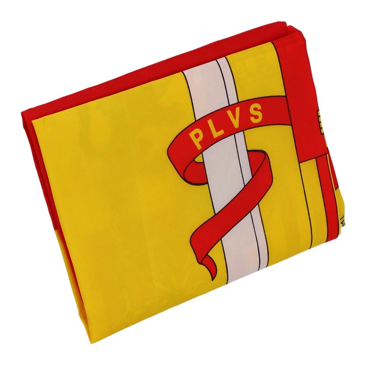 Bandeira de Espanha 150 x 90 5