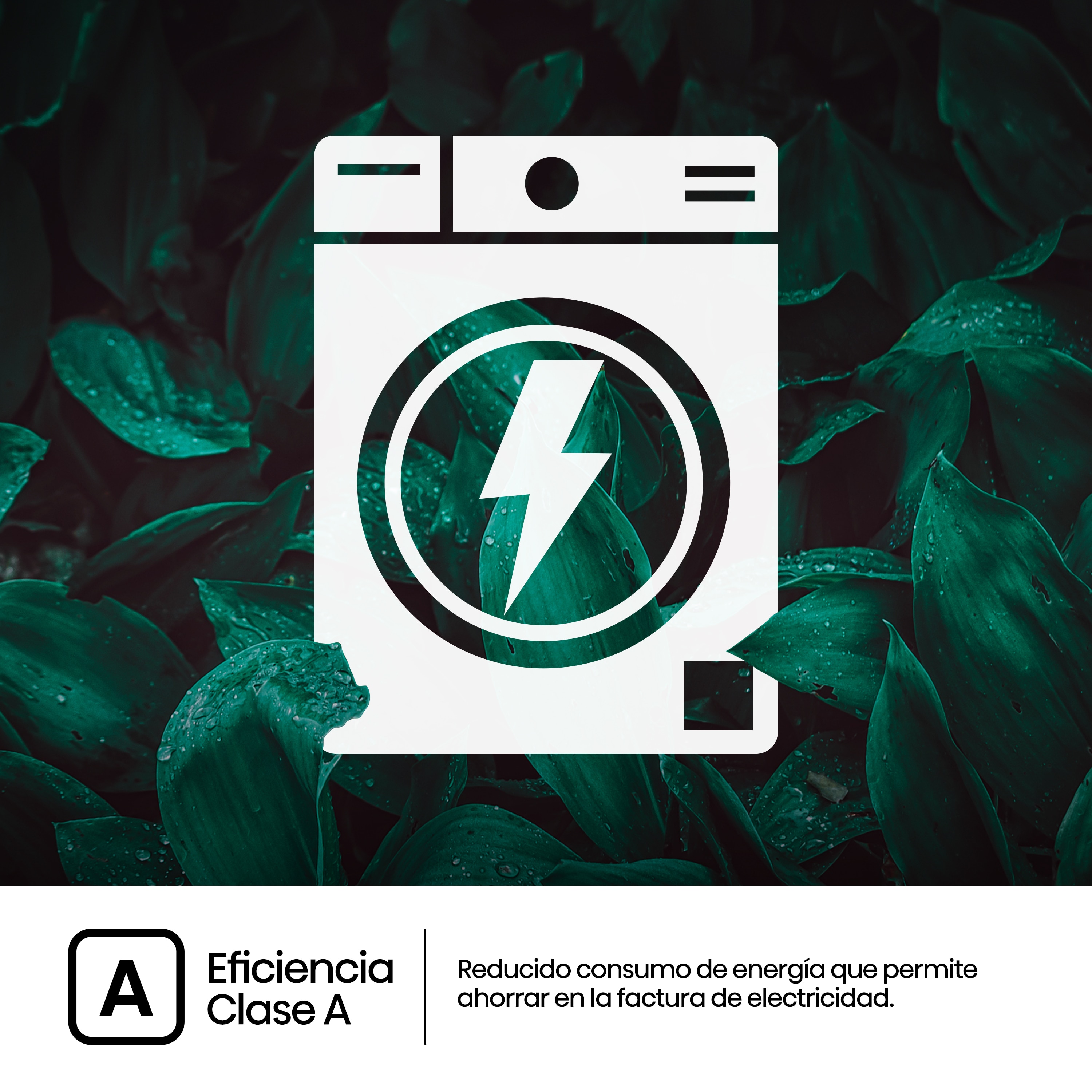 Lavadora integrable Hisense 8 kg / 1.400 rpm - WF3M841BWIES - Blanco Blanco-8
