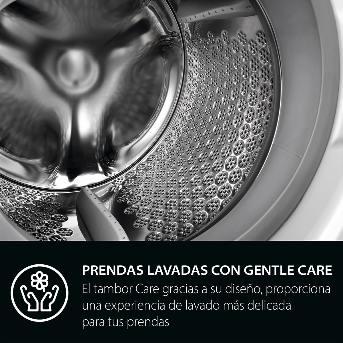 Imagen adicional del producto