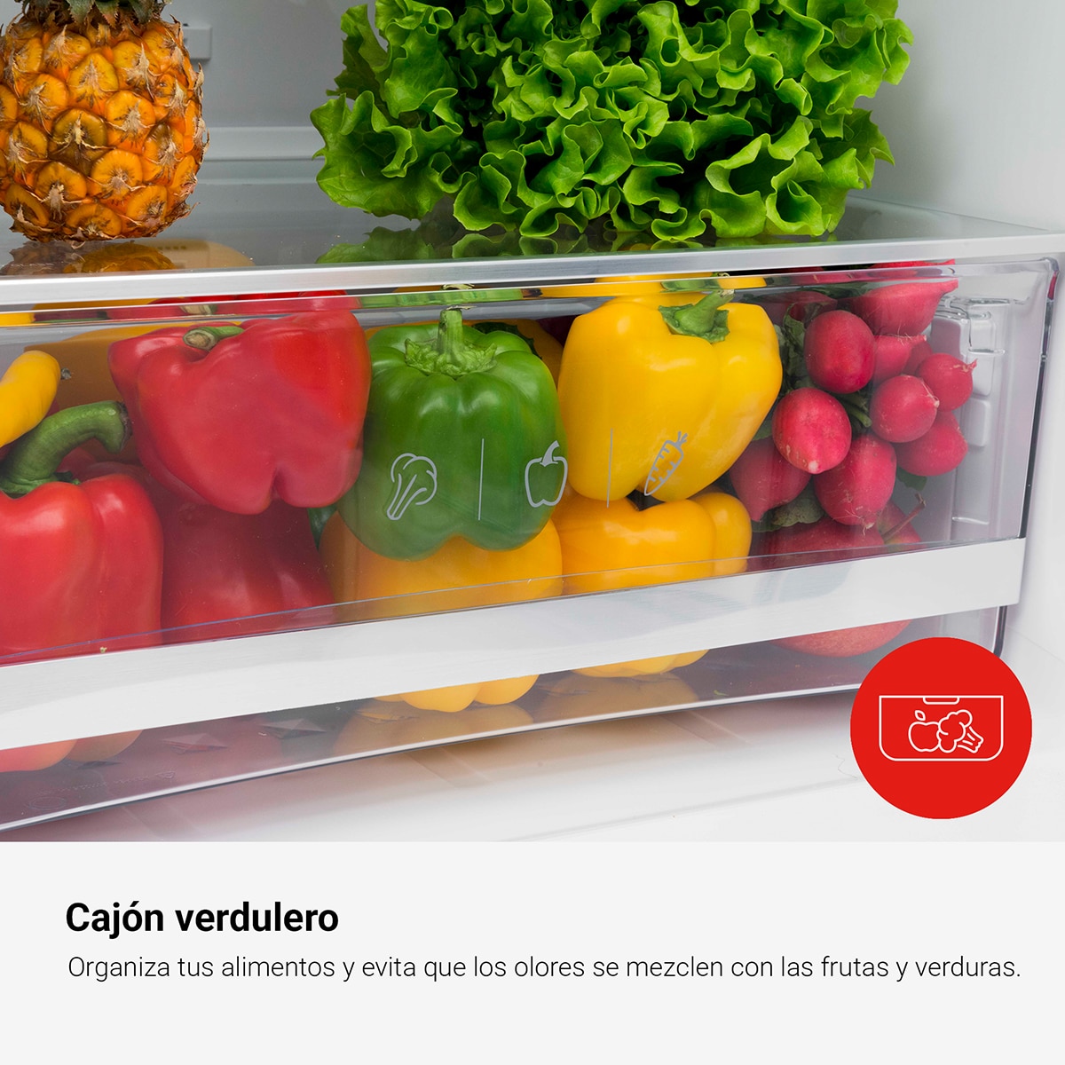 Frigorífico combi Fagor Classic Low Frost - 3FFK-5510X Inox-9