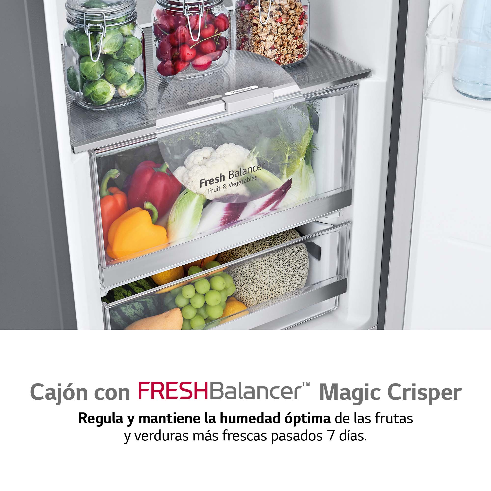 Frigorífico 1 puerta LG 186 cm, 413 lDoor Cooling, Inox- GLM71MBCSF Inox-7