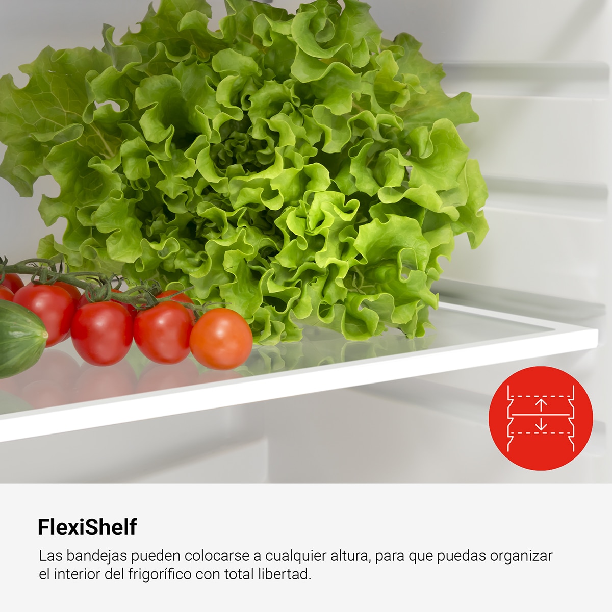 Frigorífico de 1 Porta Fagor 3FFV-855R Frio Estático e de 87,5 cm - Vermelho Vermelho-6