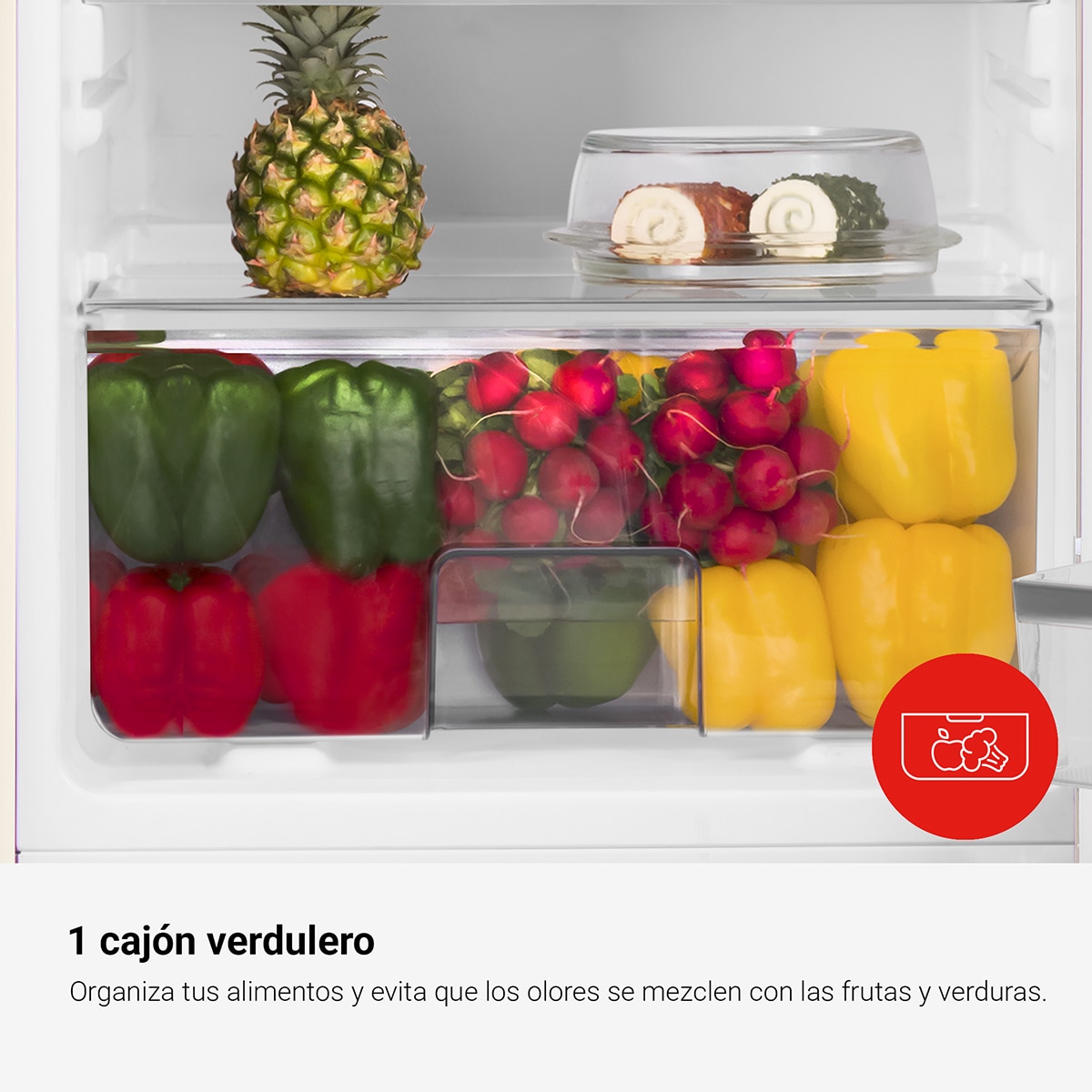 Frigorífico de 1 Porta Fagor 3FFV-855R Frio Estático e de 87,5 cm - Vermelho Vermelho-11
