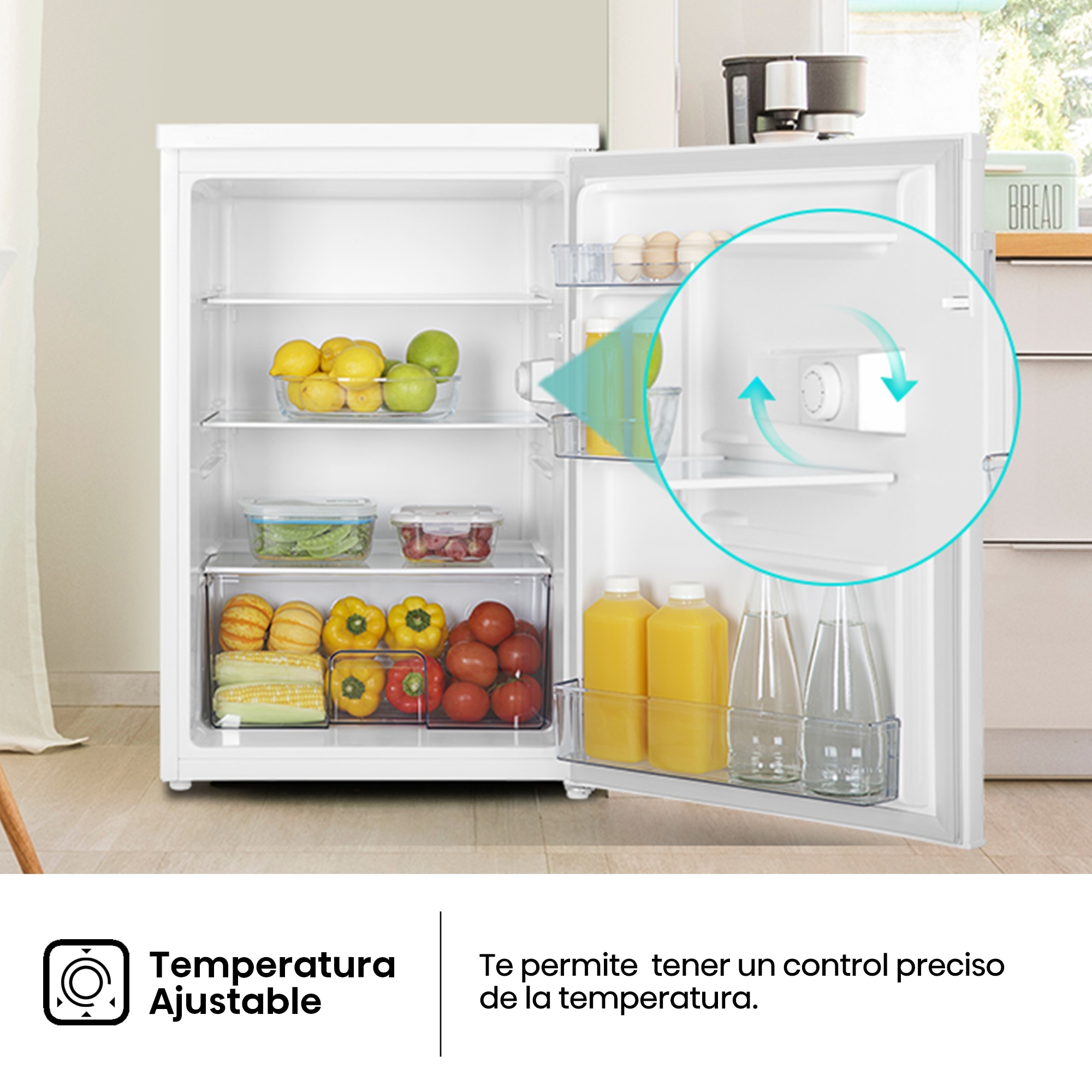 Frigorífico 1 puerta Hisense cíclico Defrost - RL170D4BWE Blanco-8