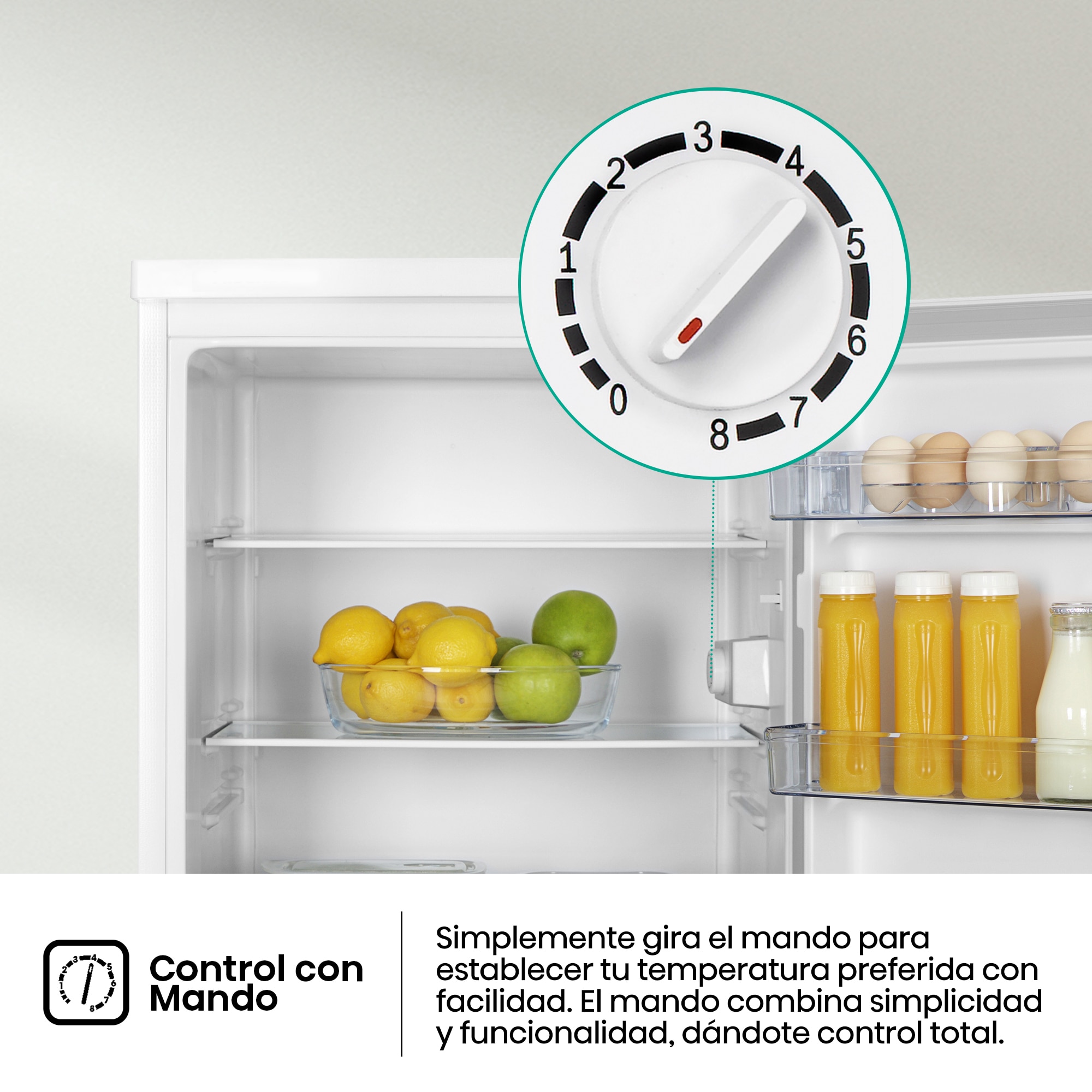 Frigorífico 1 puerta Hisense cíclico Defrost - RL170D4BWE Blanco-9