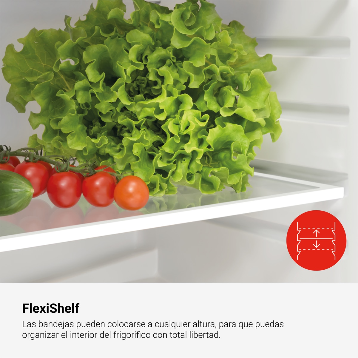 Frigorífico 2 puertas Fagor Classic estático - 3FFJ-1437 Blanco-8