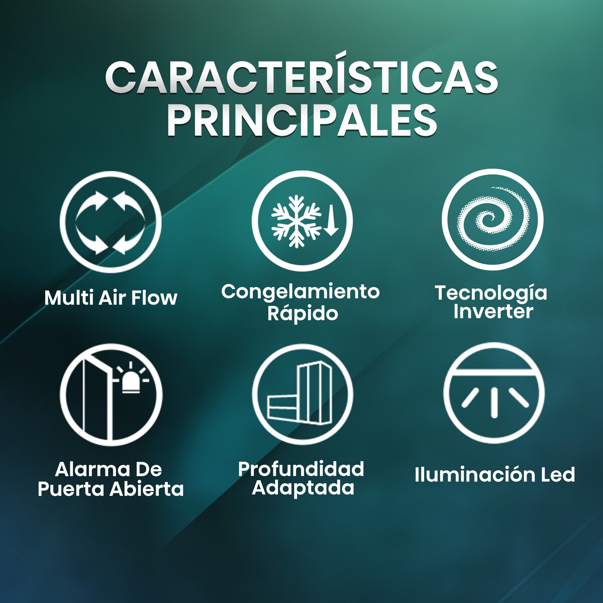 Imagen adicional del producto