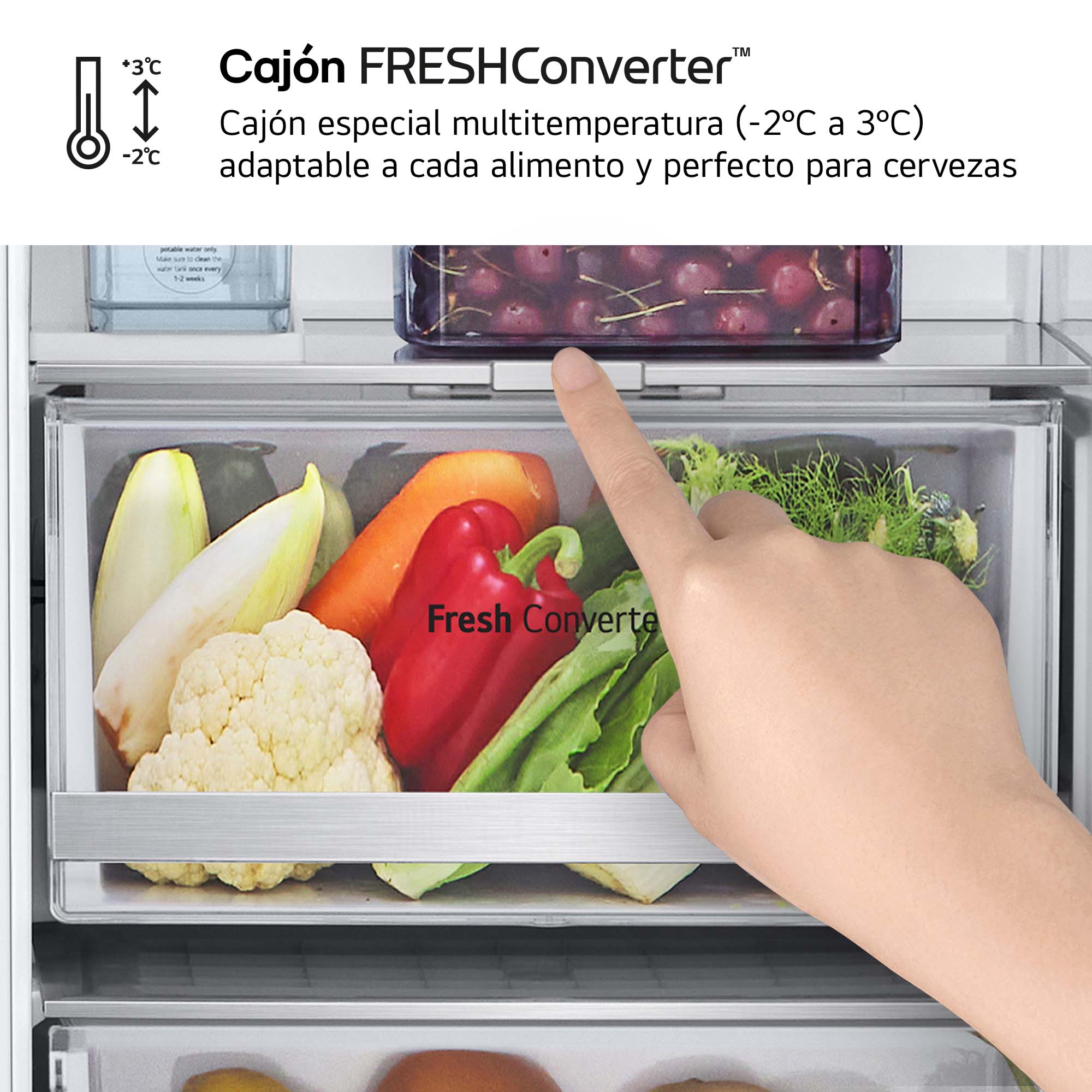 Frigorífico americano LG Total No Frost, 179 cm, 628l, con dispensador, inox - GSLE91MBAC Silver-12