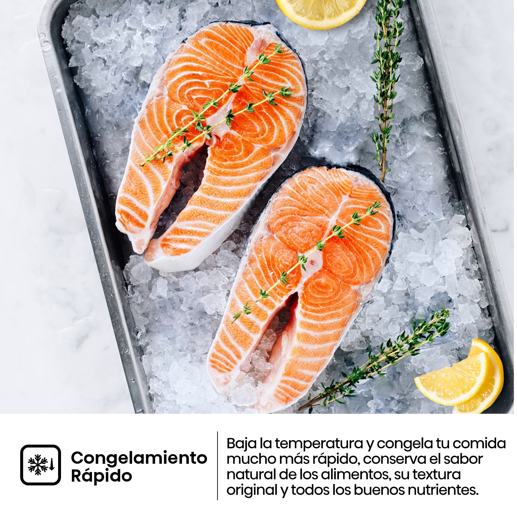 Frigorífico americano Hisense Total No Frost, serie kitchen FIT - RS3P538NEWE Blanco-17