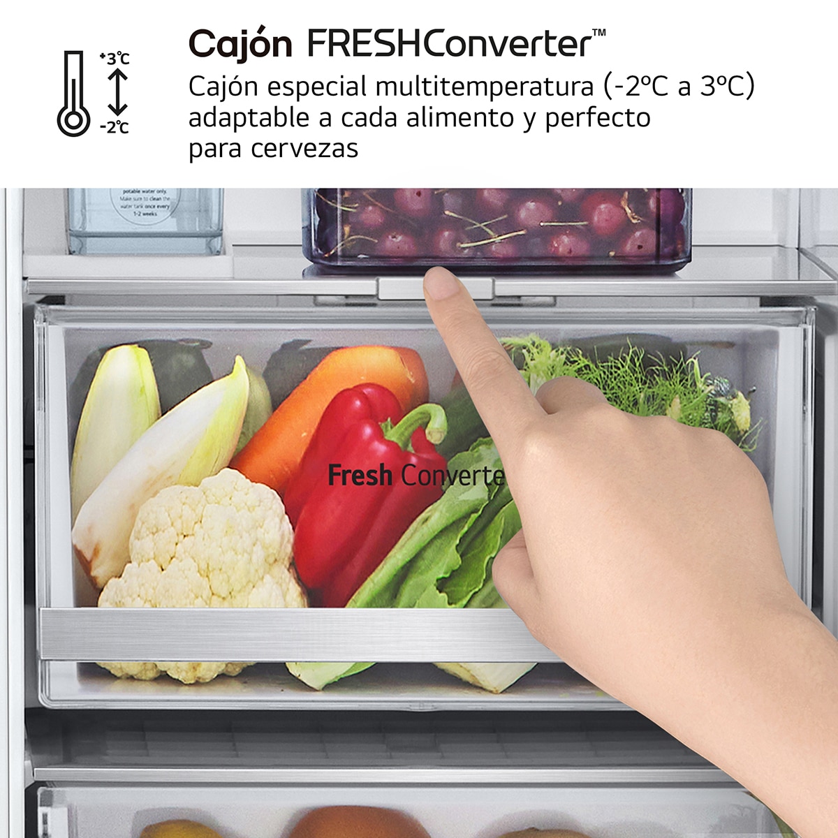 Frigorífico americano  LG DoorCooling+? Serie 900 - GSLE91MBAB Acero antihuellas-7