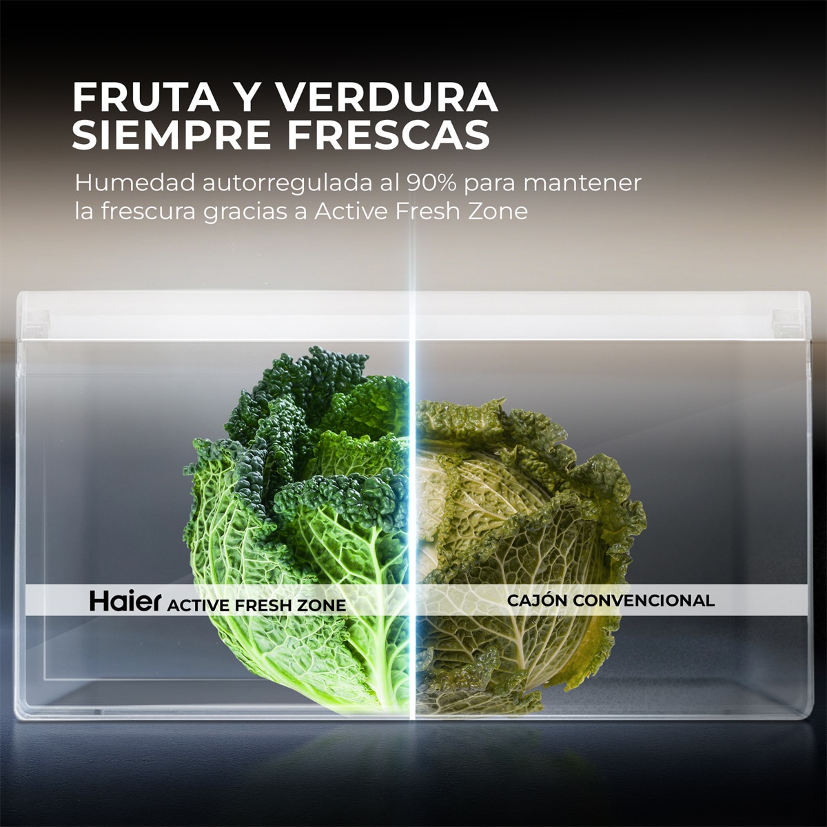 Frigorífico Americano Haier Total No Frost, Metal Fresh, HORIZON - HCR59F18DNMM Inox-6