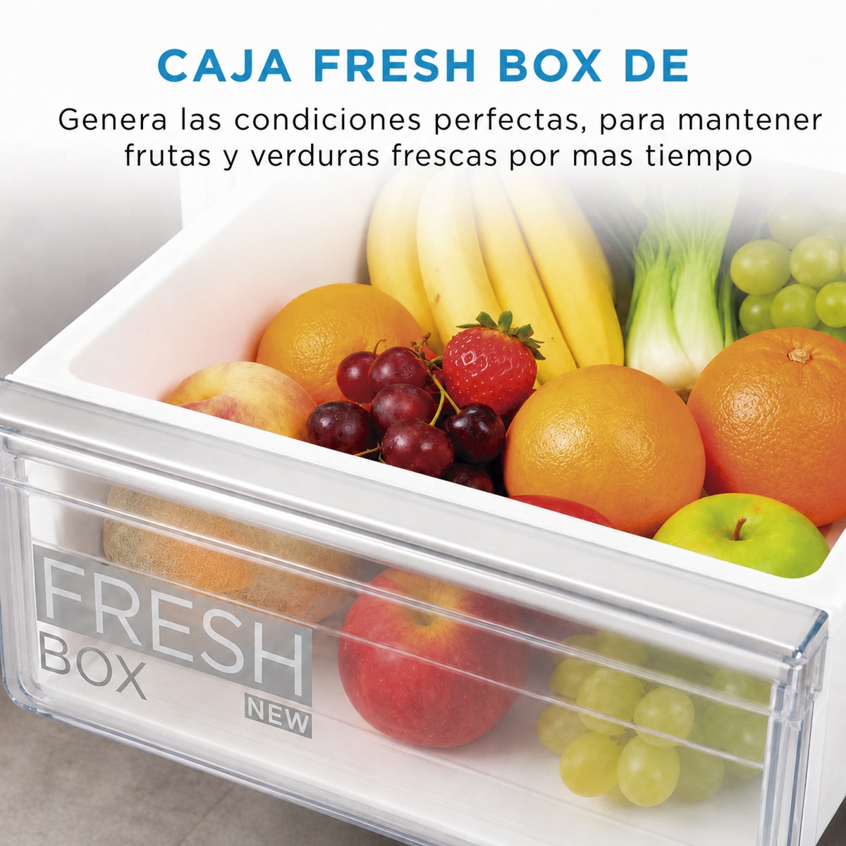 Frigorífico Combinado Encastrável Midea MDRE353FGE01 Total NoFrost e de 178,5 cm 4