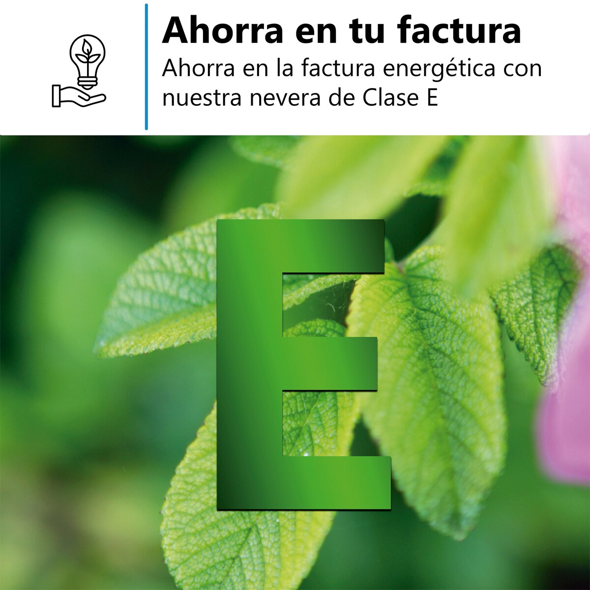Frigorífico Combinado Encastrável Midea MDRE353FGE01 Total NoFrost e de 178,5 cm 8