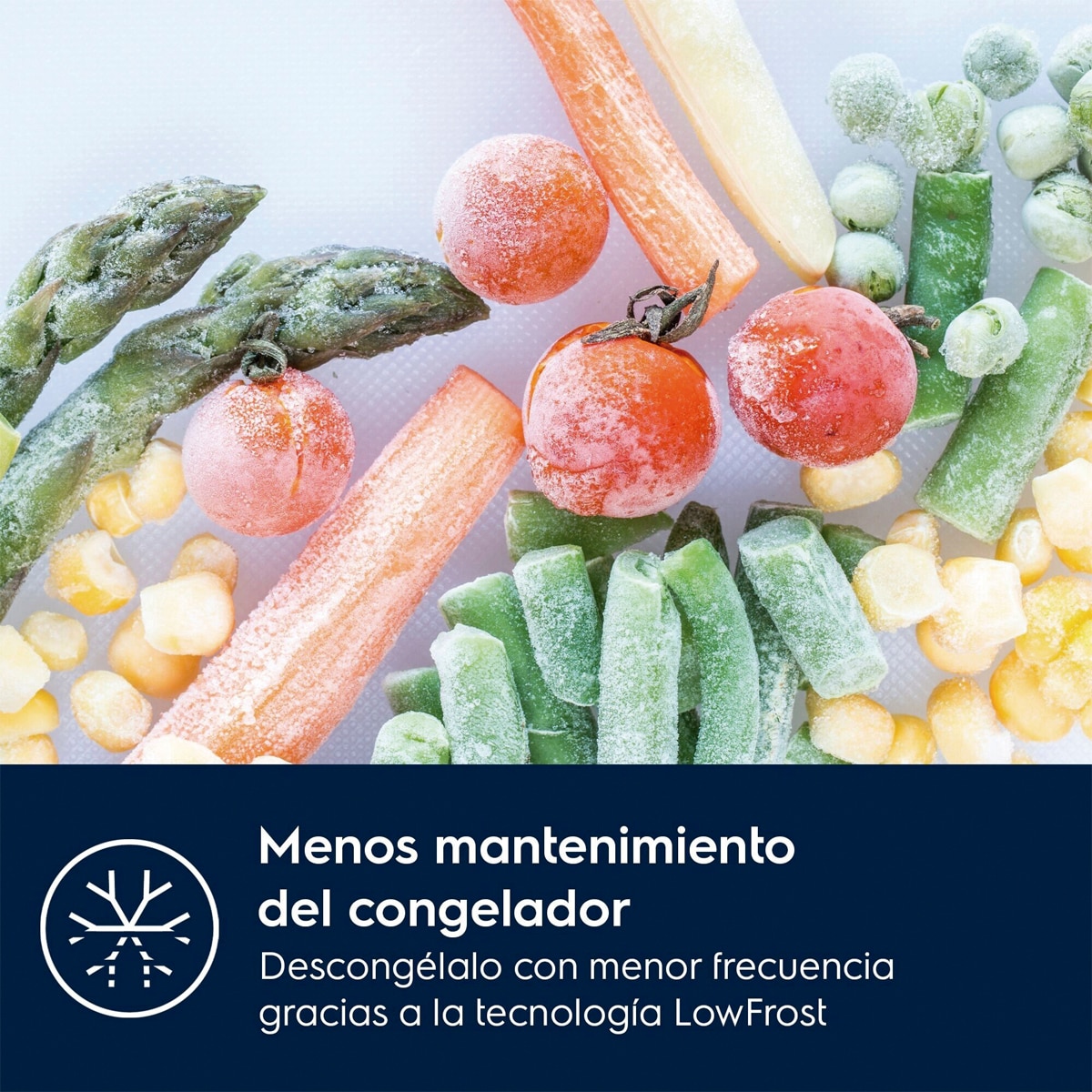 Frigorífico Combi integrable Electrolux, No frost, IA, Dynamic Air. Serie 600, LNA6DE18S 10