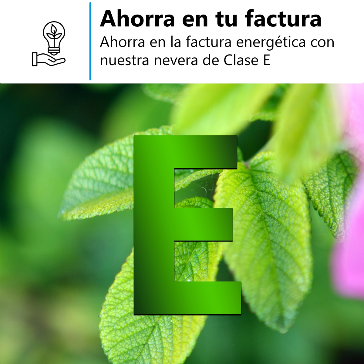 Frigorífico 2 puertas Midea Total No Frost - MDRT385MTE01 Blancos-10