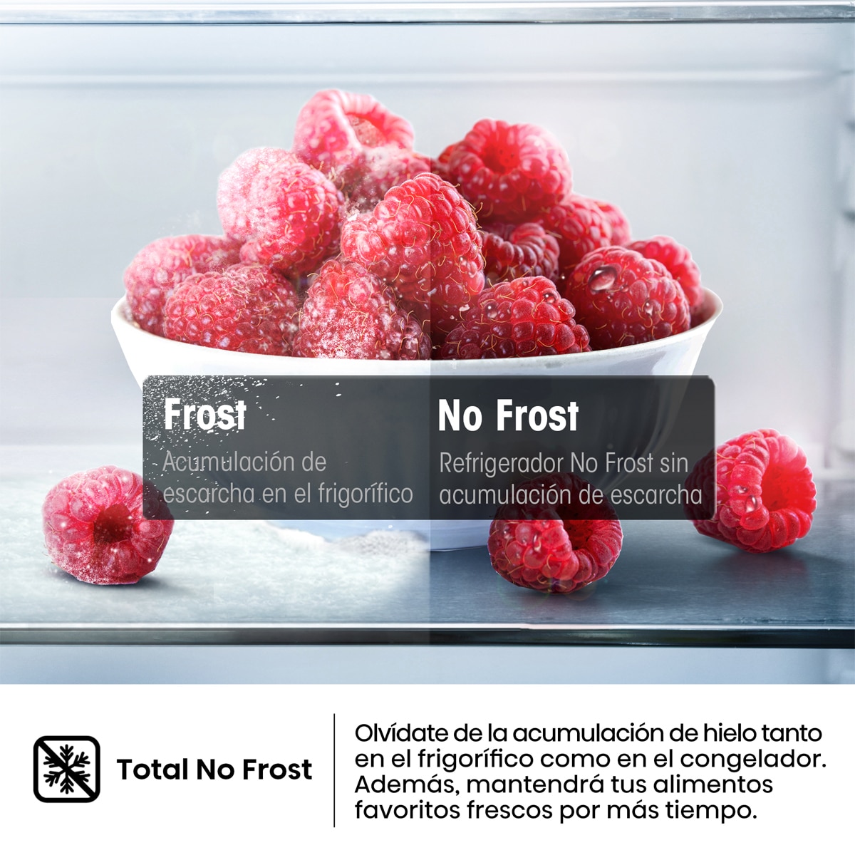 Frigorífico 2 puertas Hisense , Total No Frost - RT327N4AWE Blanco-5