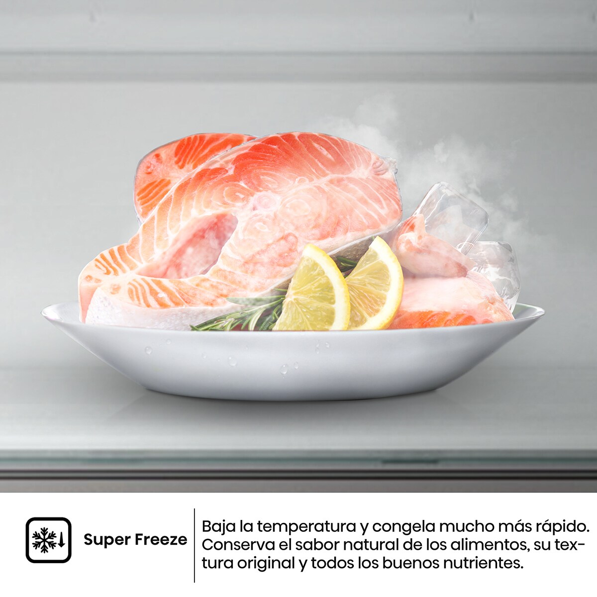 Frigorífico Combi Hisense MultiFlow - RB390N4CCD Inox-9