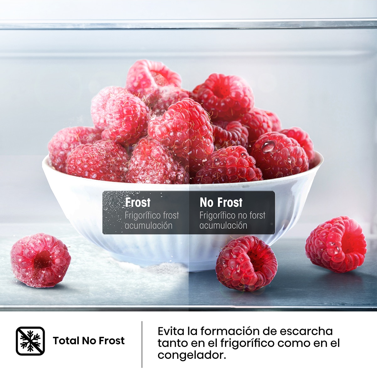 Frigorífico Combi Hisense Total No Frost - RB440N4GWD - Cristal blanco Cristal blanco-6