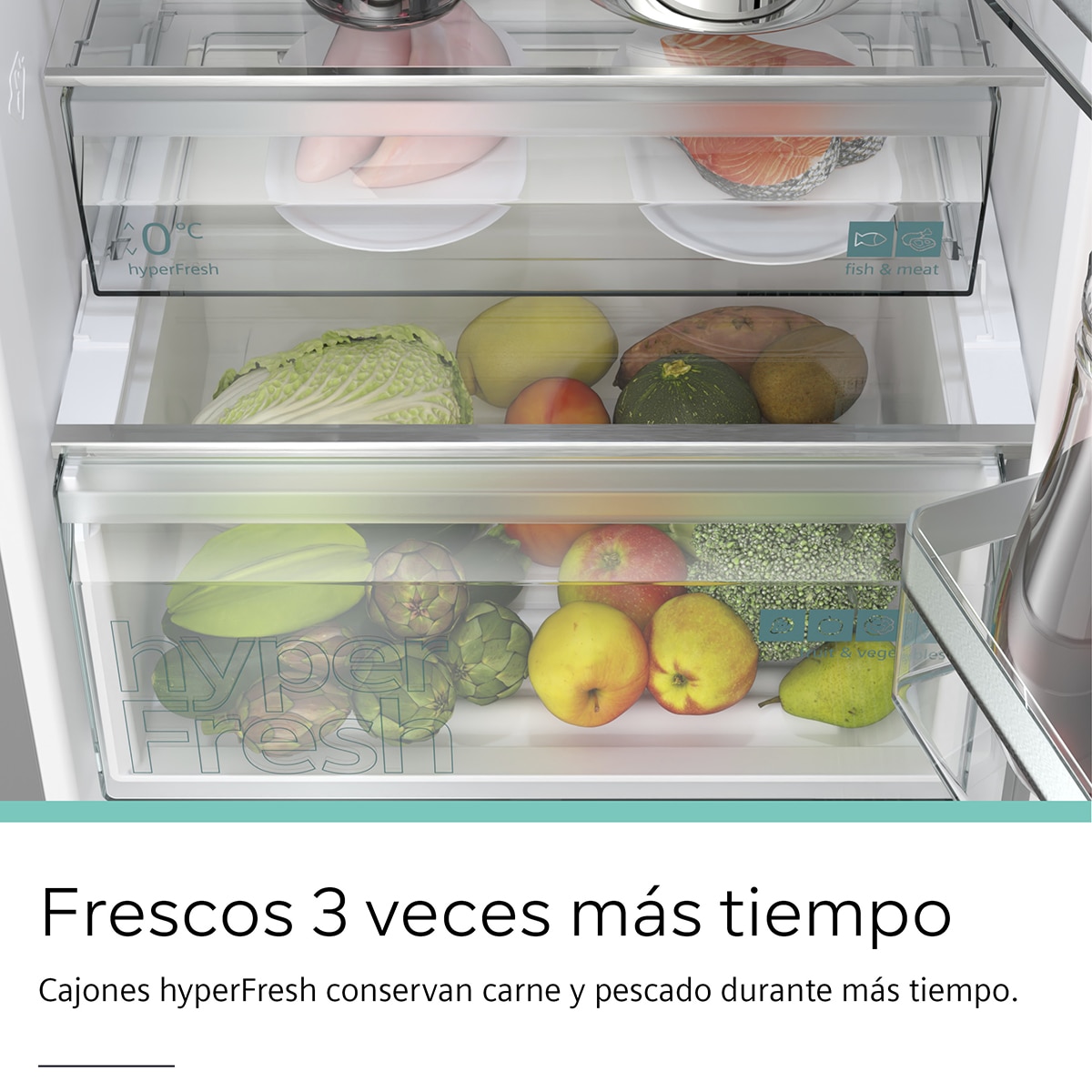 Frigorífico Combi Siemens Tecnología noFrost iQ300 - KG36N2ICF Inox-12