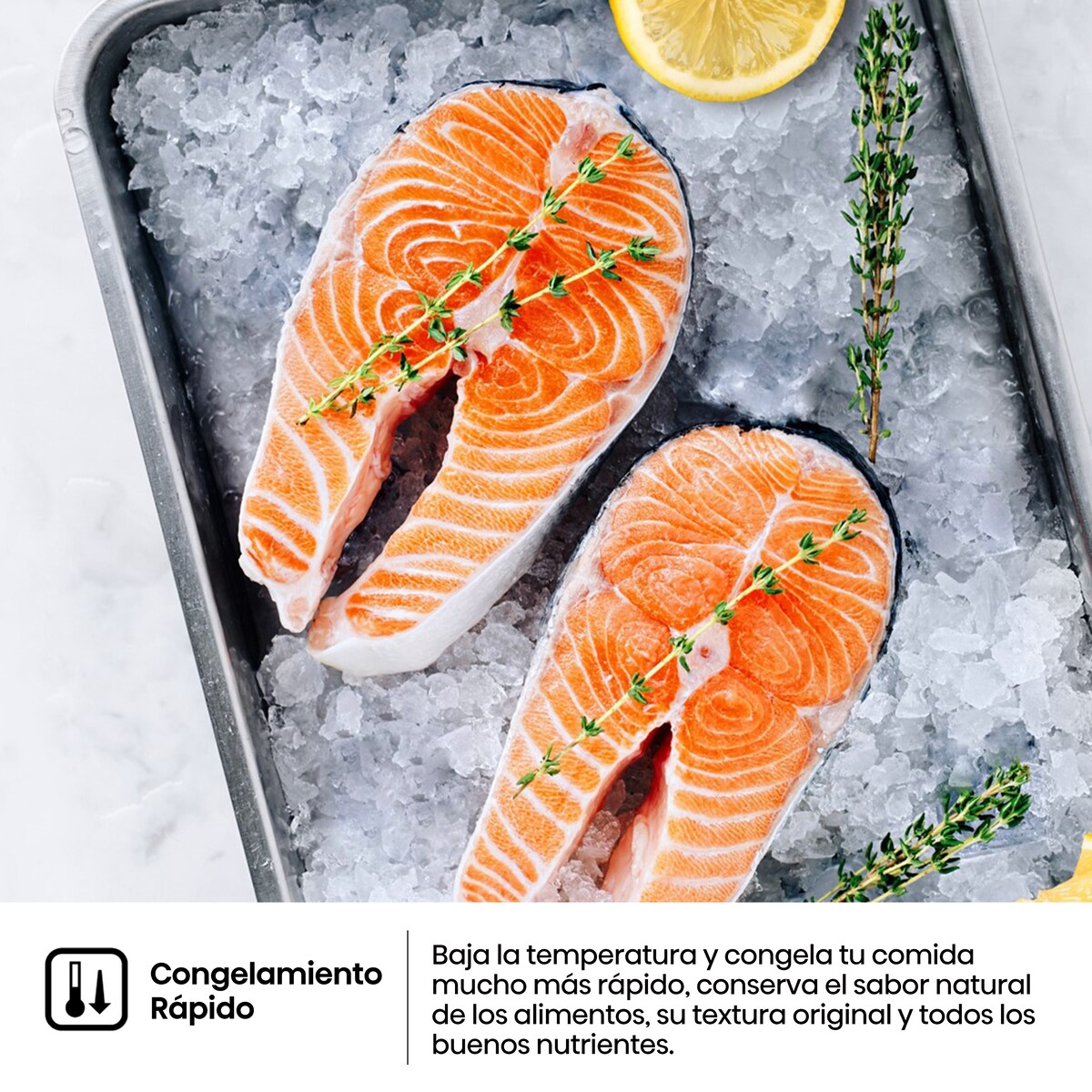 Frigorífico combi Hisense Total No Frost - RB440N4ACC Inox-10