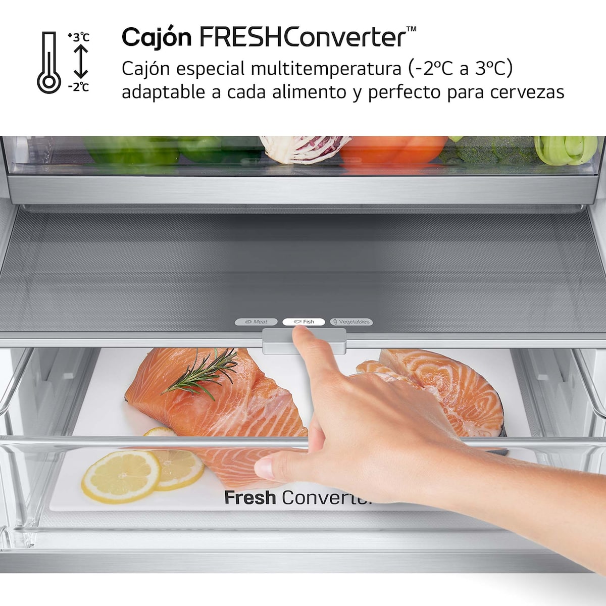Frigorífico Combinado LG GBV7180CPY Total No Frost, Door Cooling+ e de 186 cm - Inox Inox anti marcas-12